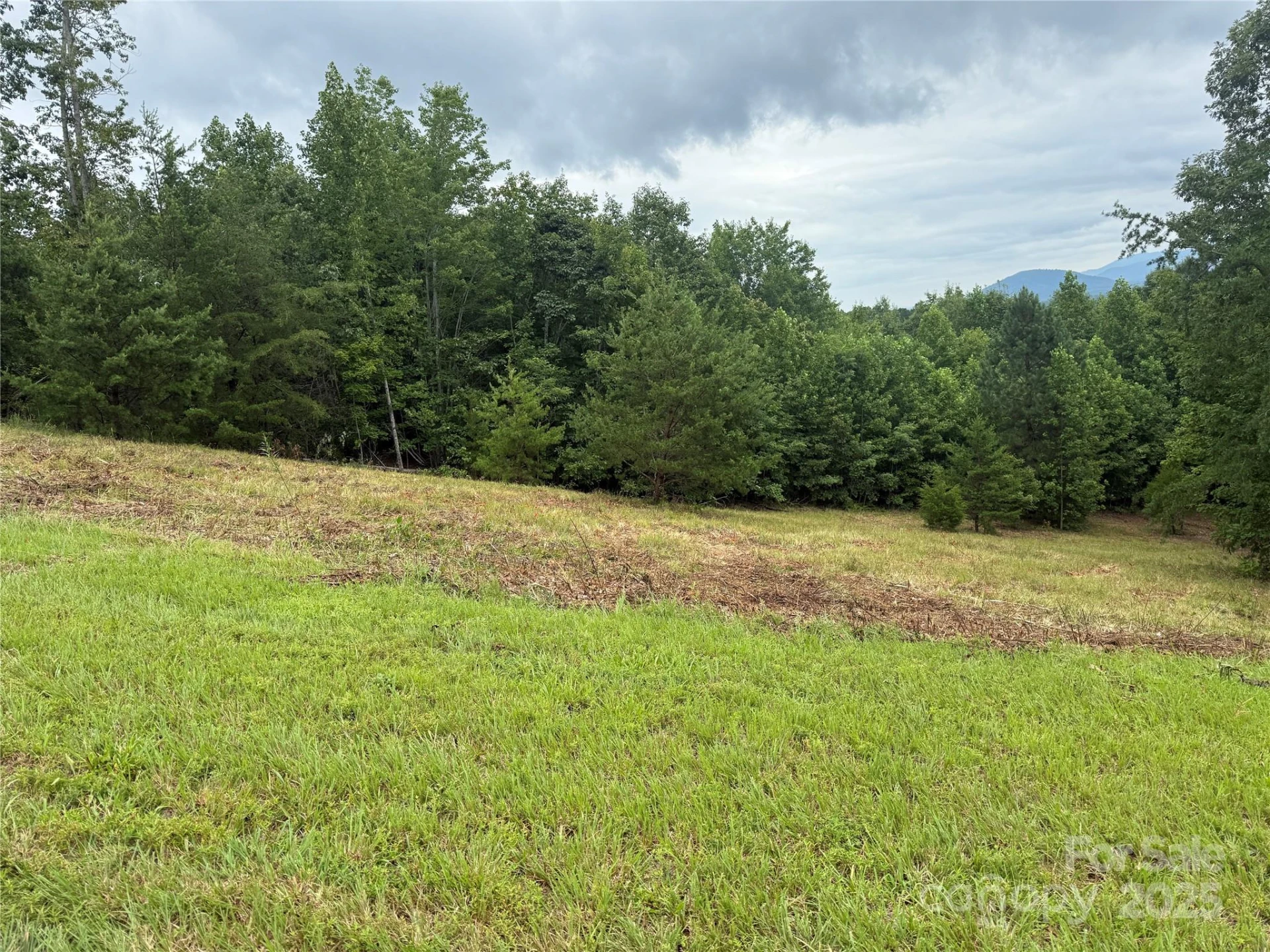 166 Coal Pit Mountain Drive #359 - Photo 10