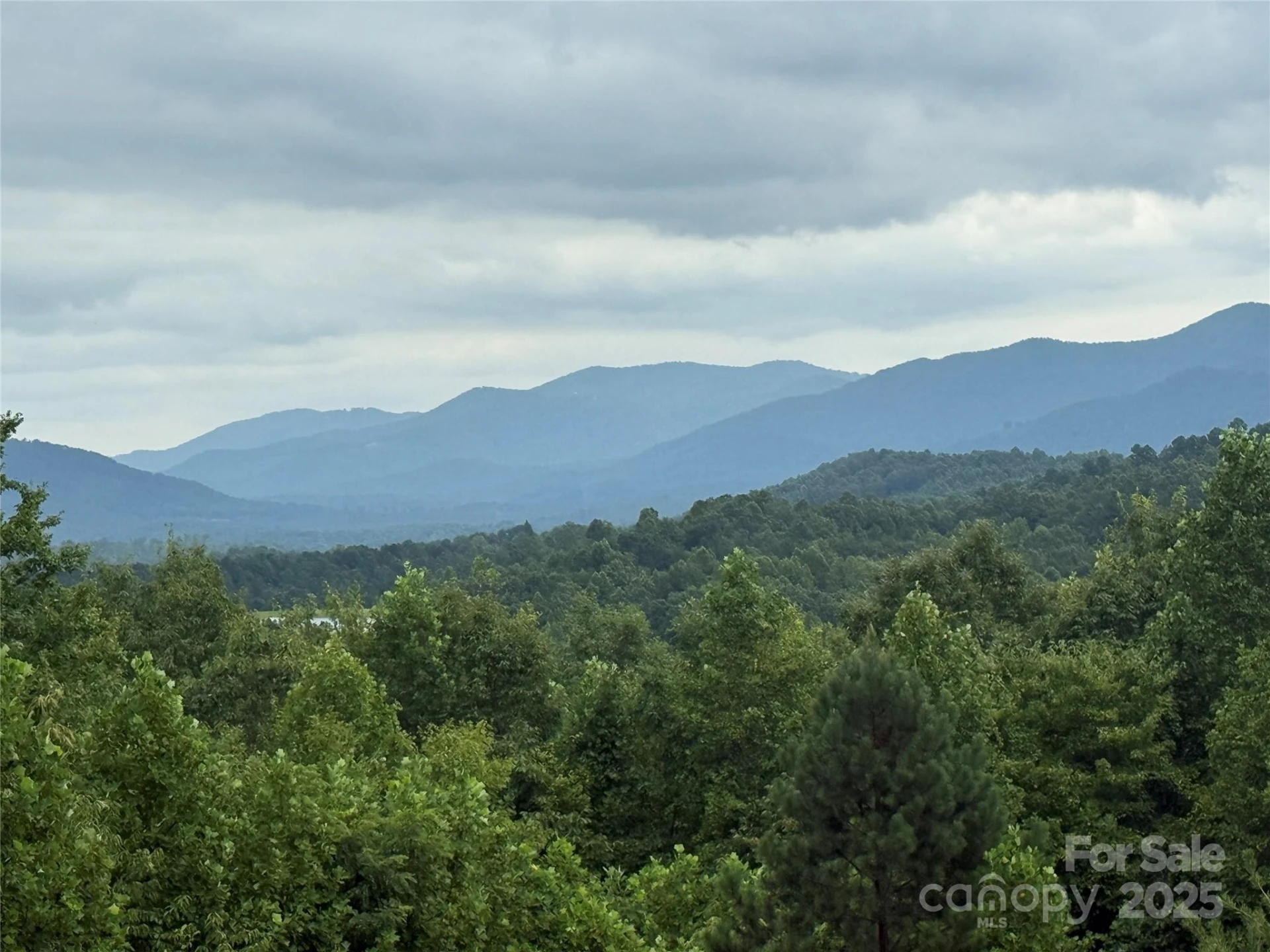 166 Coal Pit Mountain Drive #359 - Photo 12
