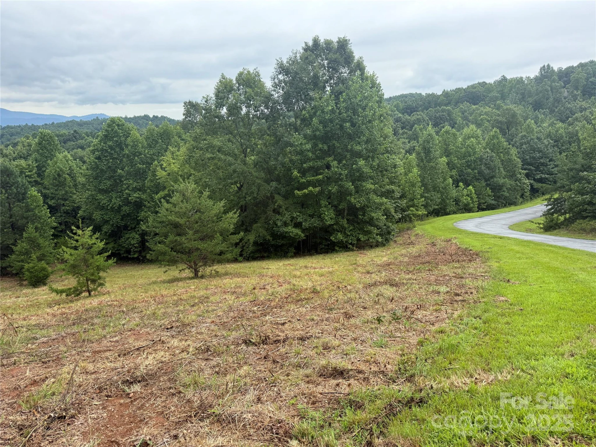 166 Coal Pit Mountain Drive #359 - Photo 14