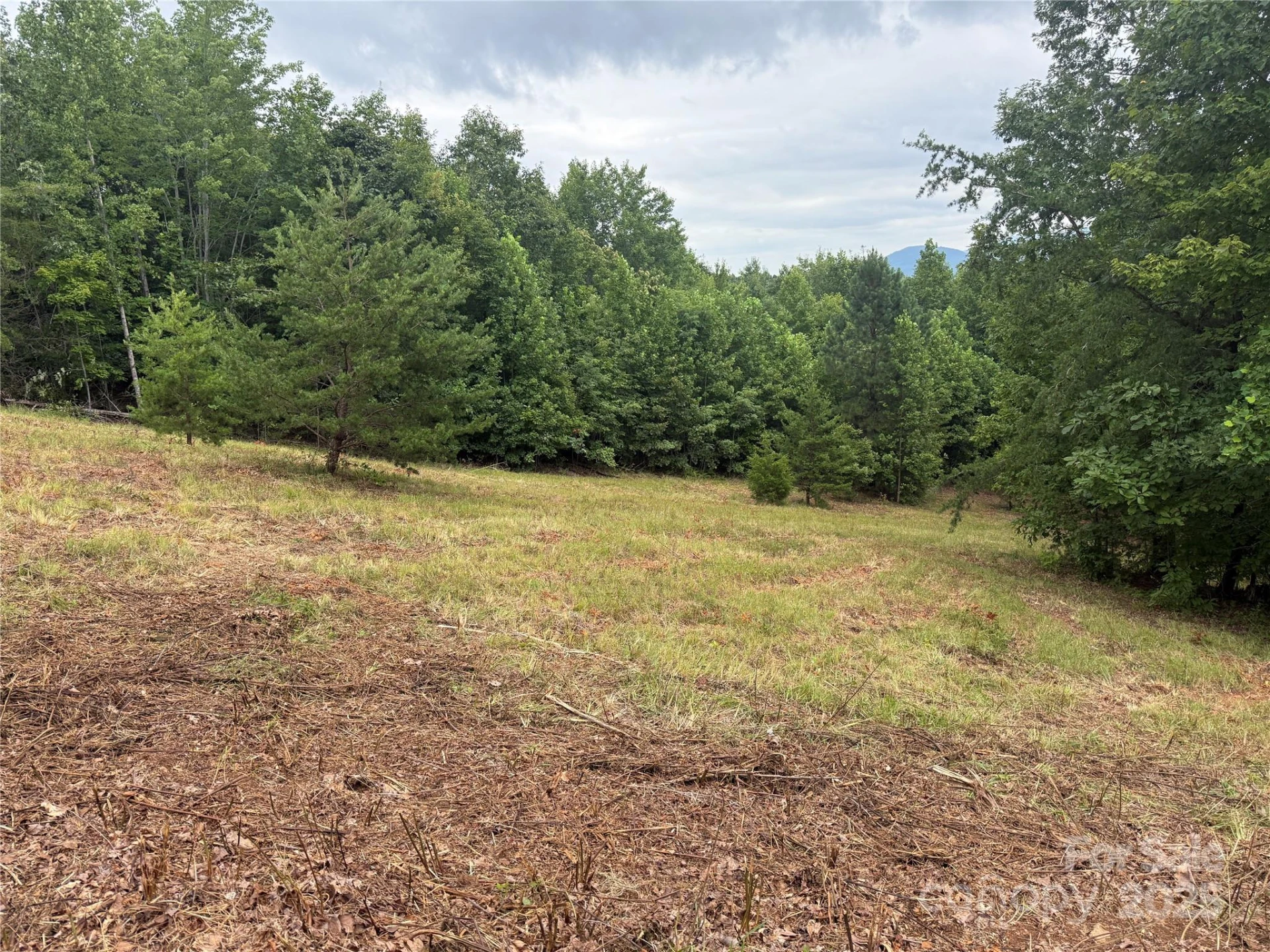 166 Coal Pit Mountain Drive #359 - Photo 15