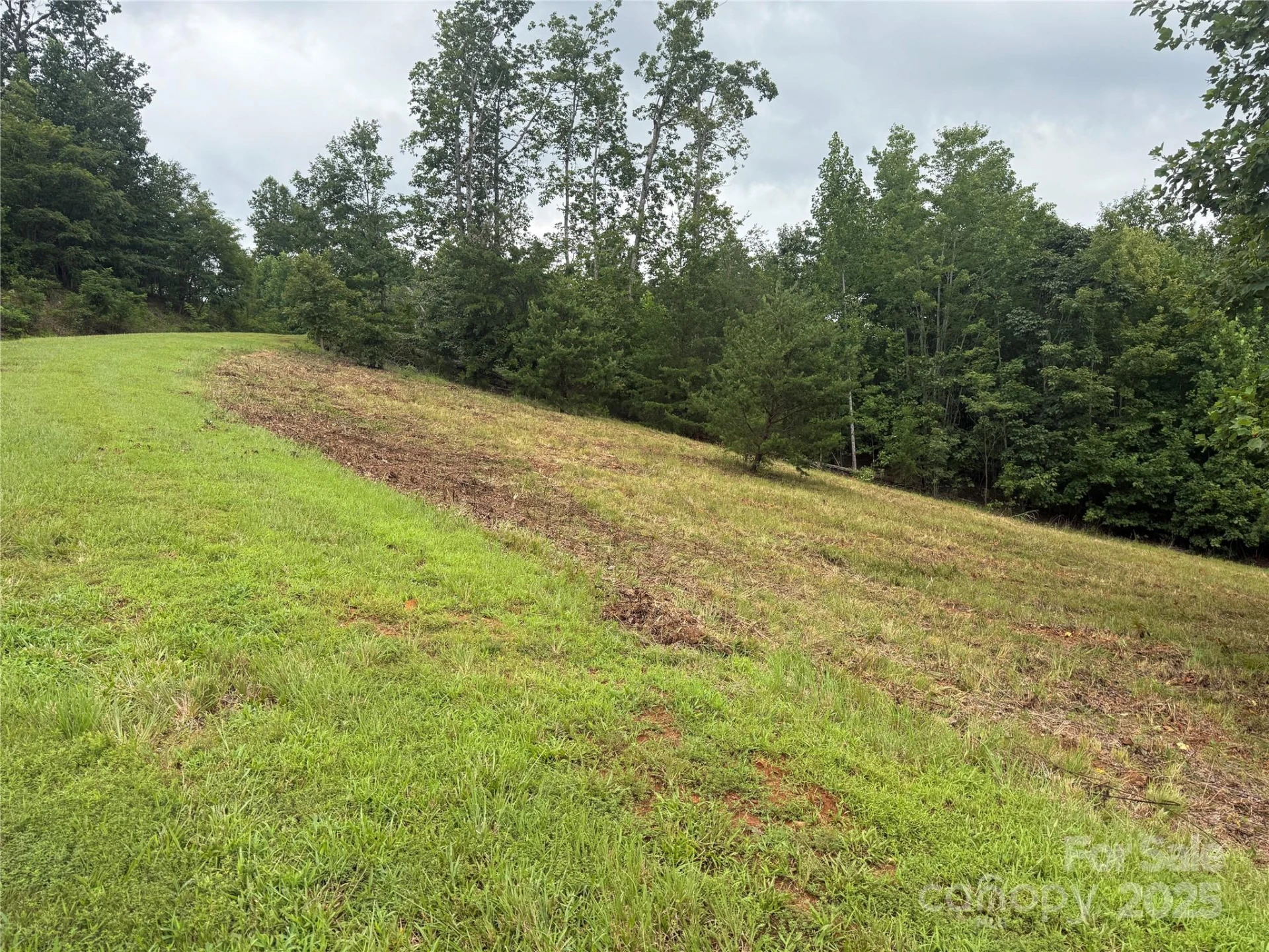 166 Coal Pit Mountain Drive #359 - Photo 16