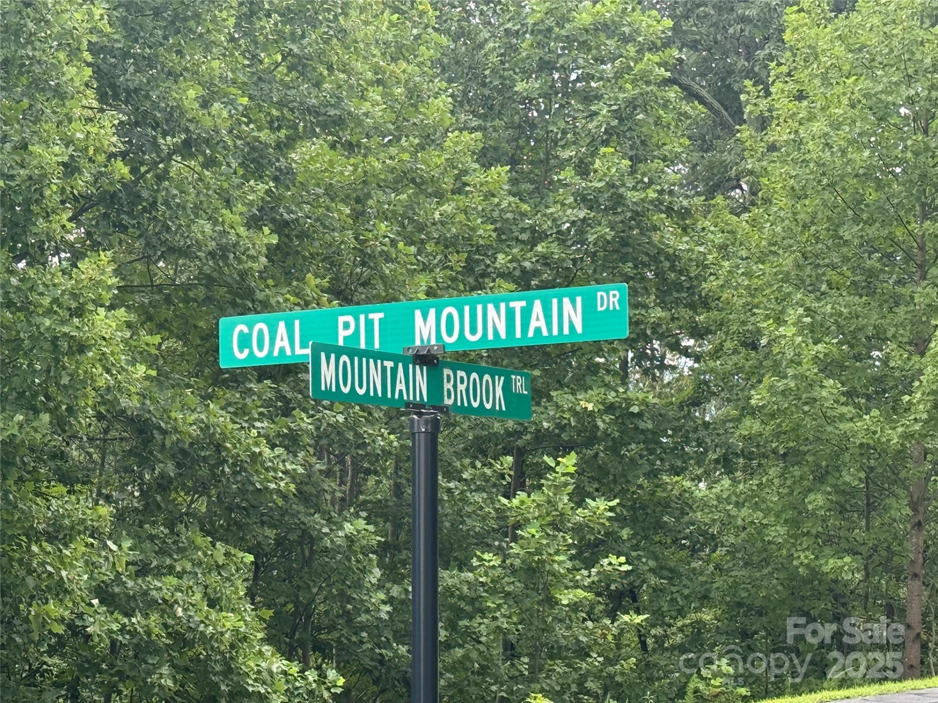 166 Coal Pit Mountain Drive #359 - Photo 17