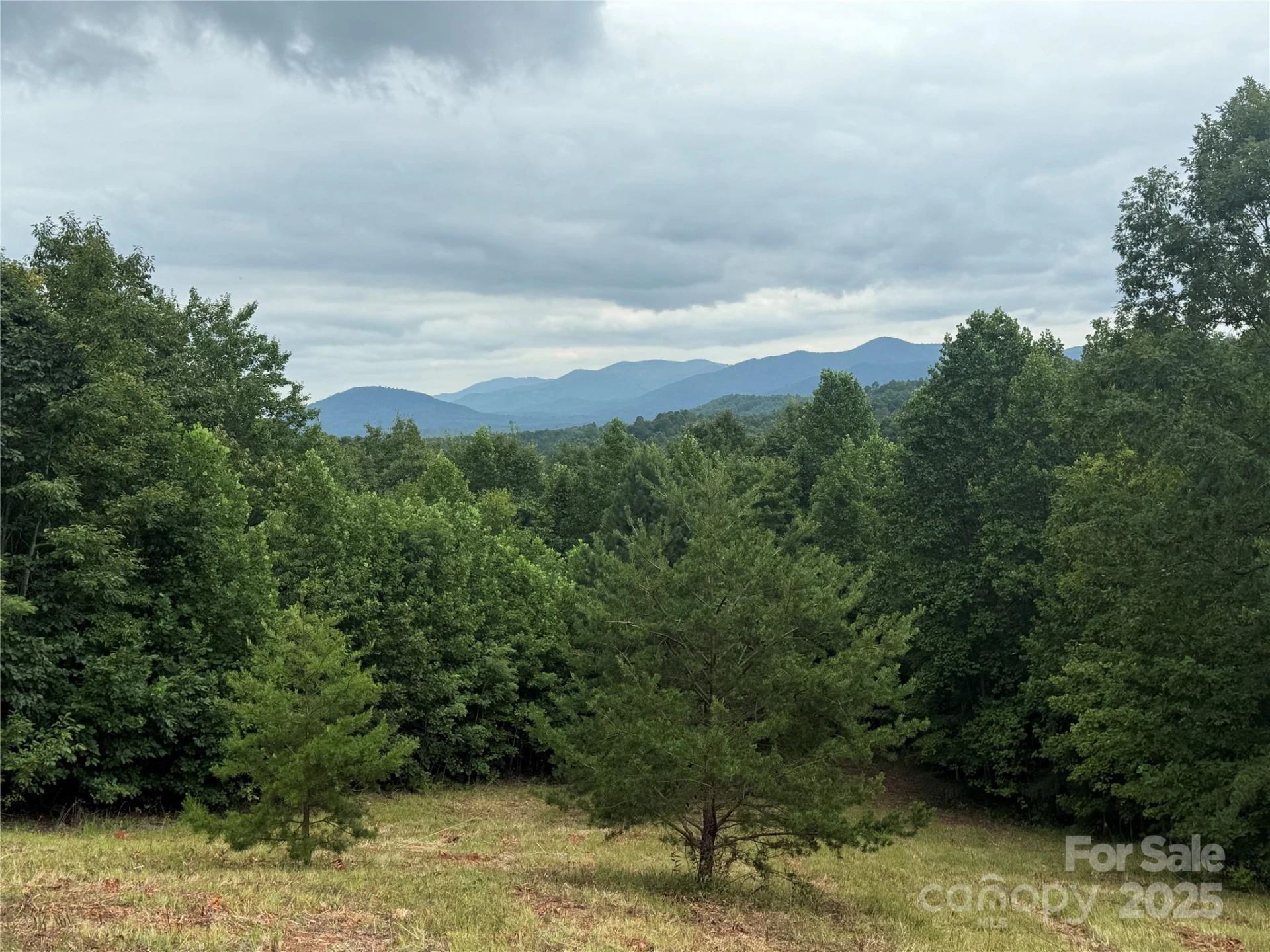 166 Coal Pit Mountain Drive #359 - Photo 18