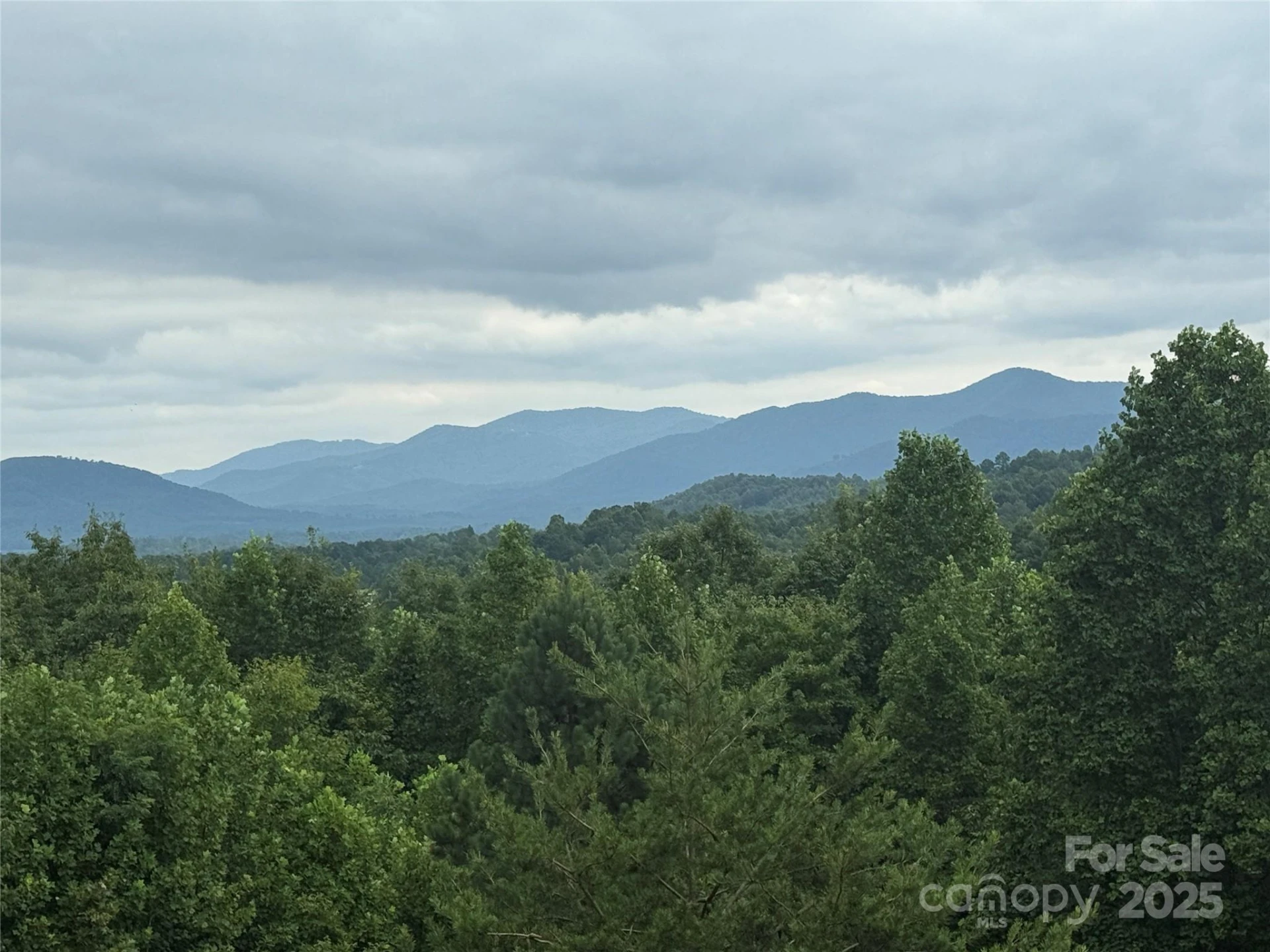 166 Coal Pit Mountain Drive #359 - Photo 19
