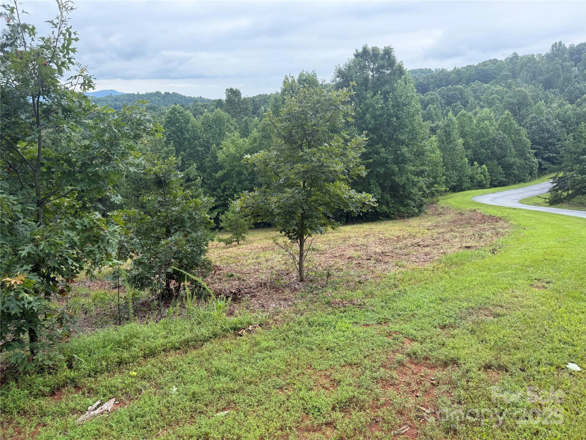 166 Coal Pit Mountain Drive #359 - Photo 21