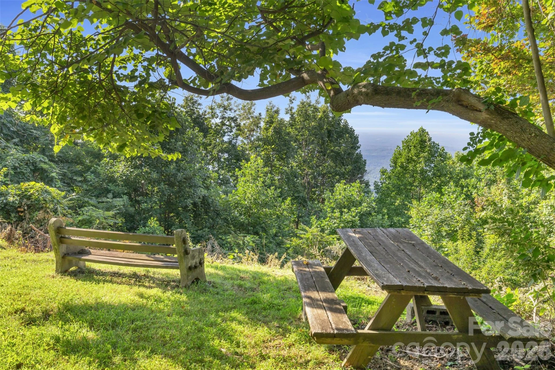 3605 Skyuka Mountain Road - Photo 29