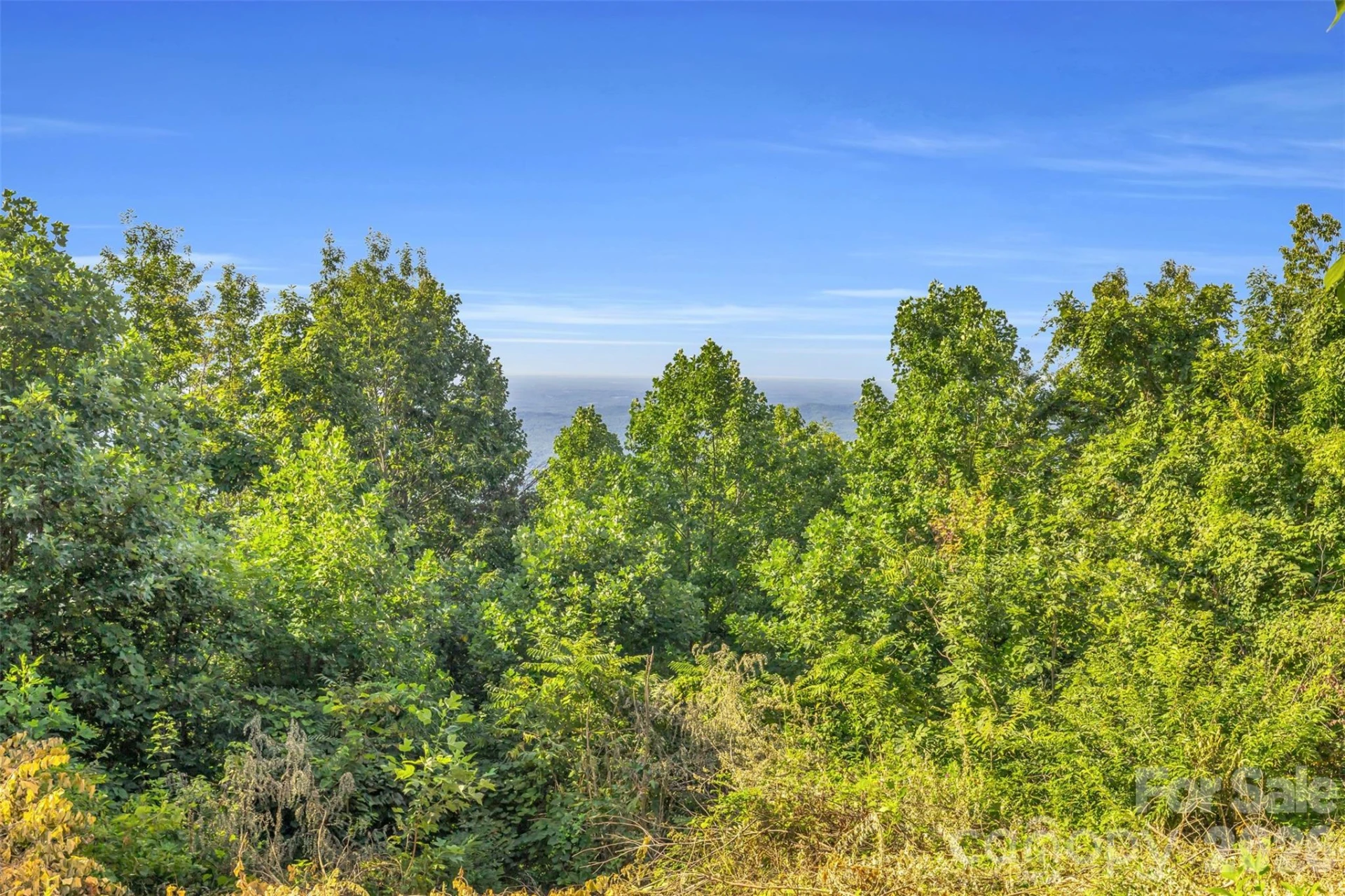 3605 Skyuka Mountain Road - Photo 30