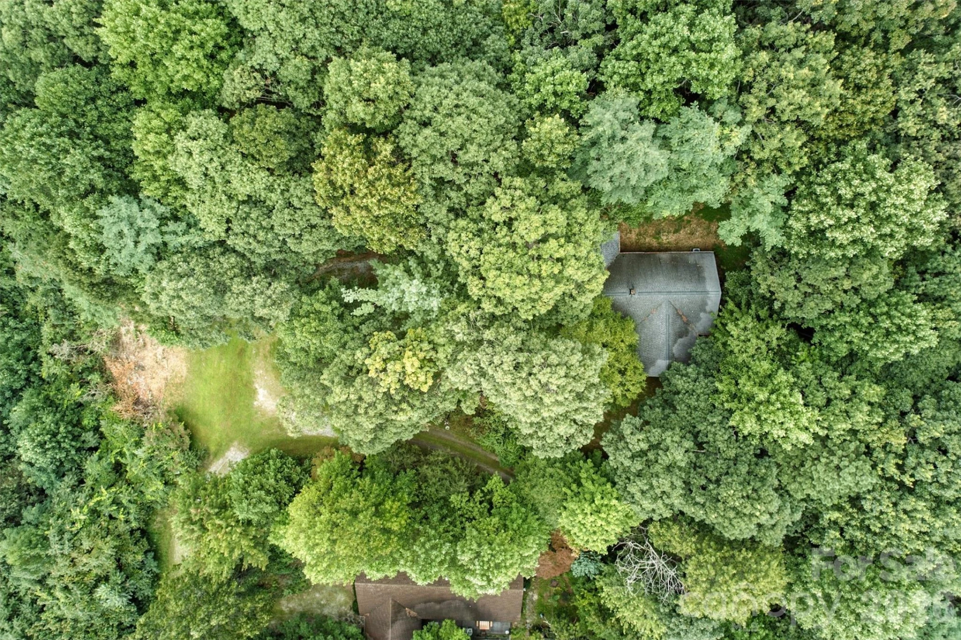 3605 Skyuka Mountain Road - Photo 41