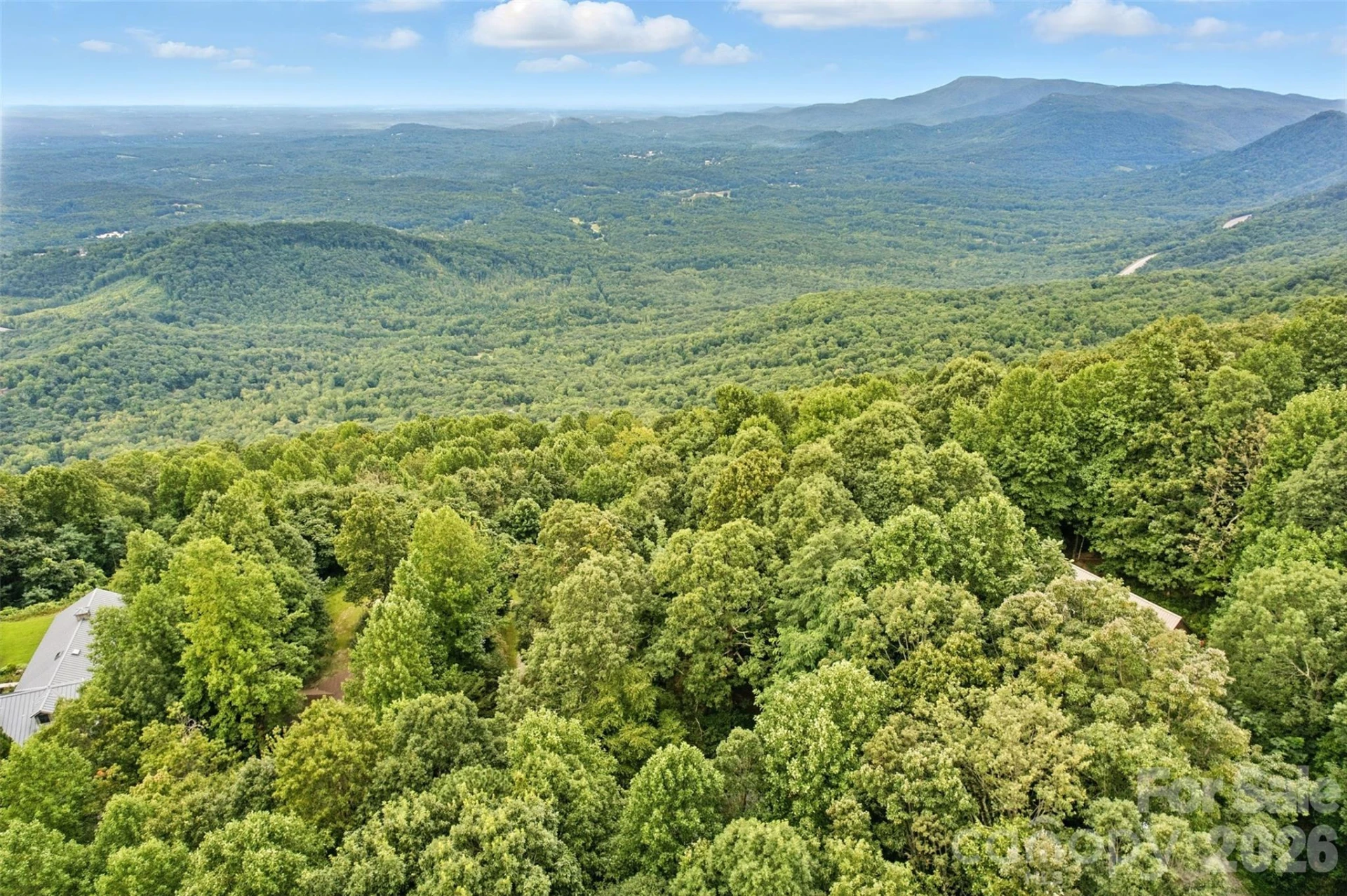 3605 Skyuka Mountain Road - Photo 42