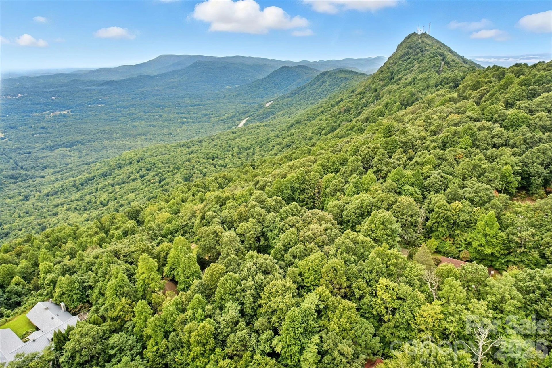3605 Skyuka Mountain Road - Photo 43