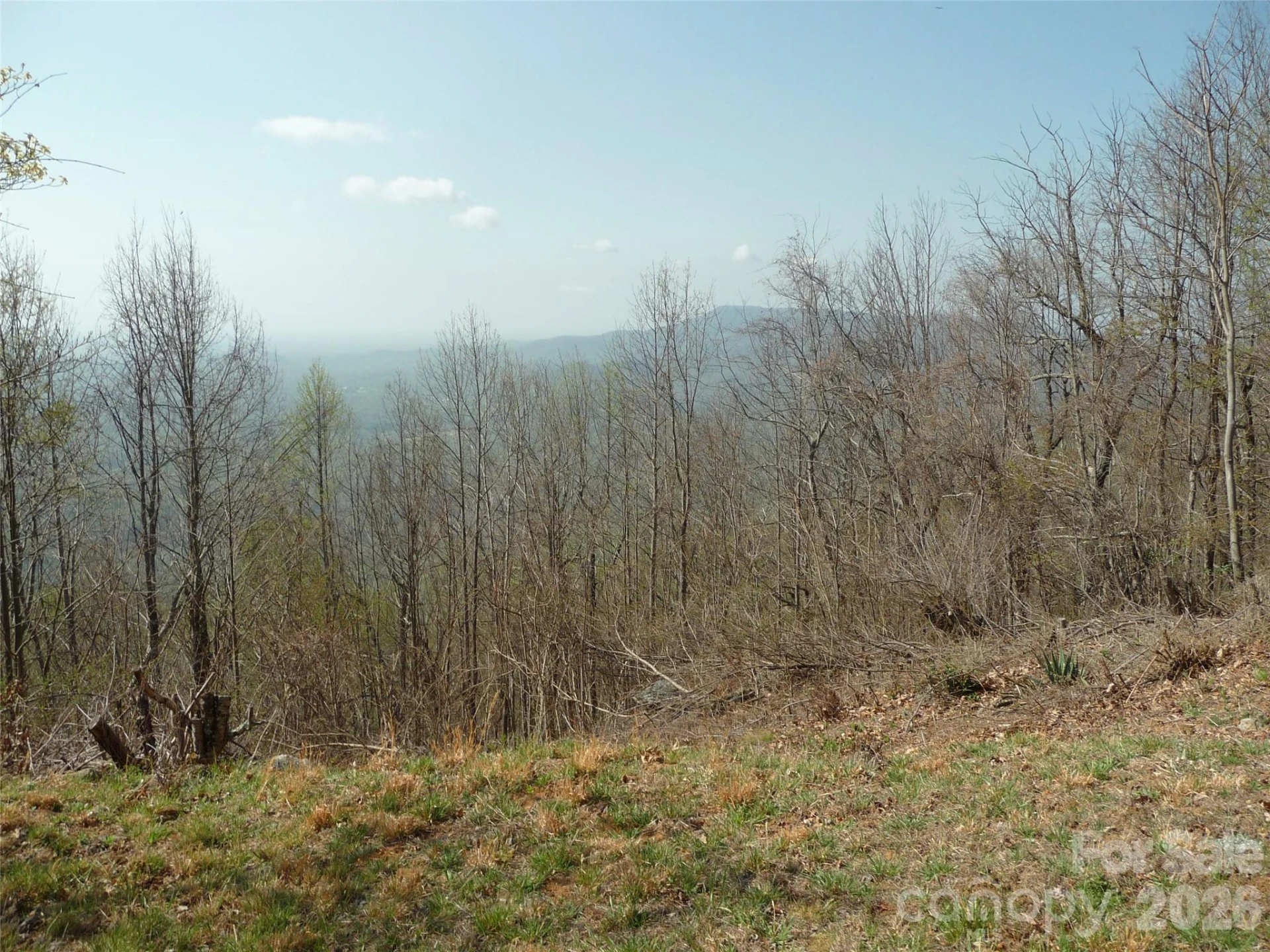 3605 Skyuka Mountain Road - Photo 48