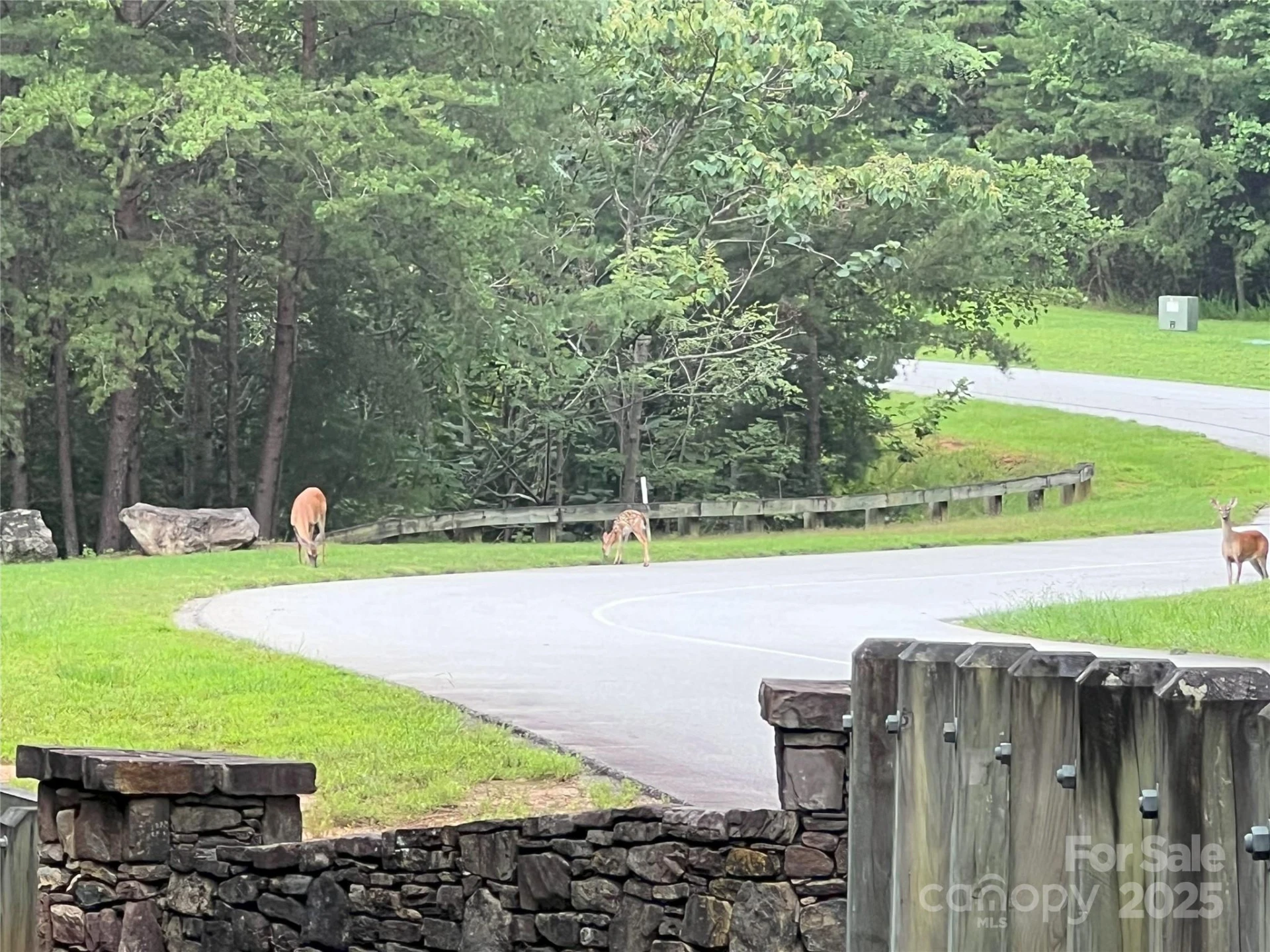 00 Deep Gap Road E #97 - Photo 12