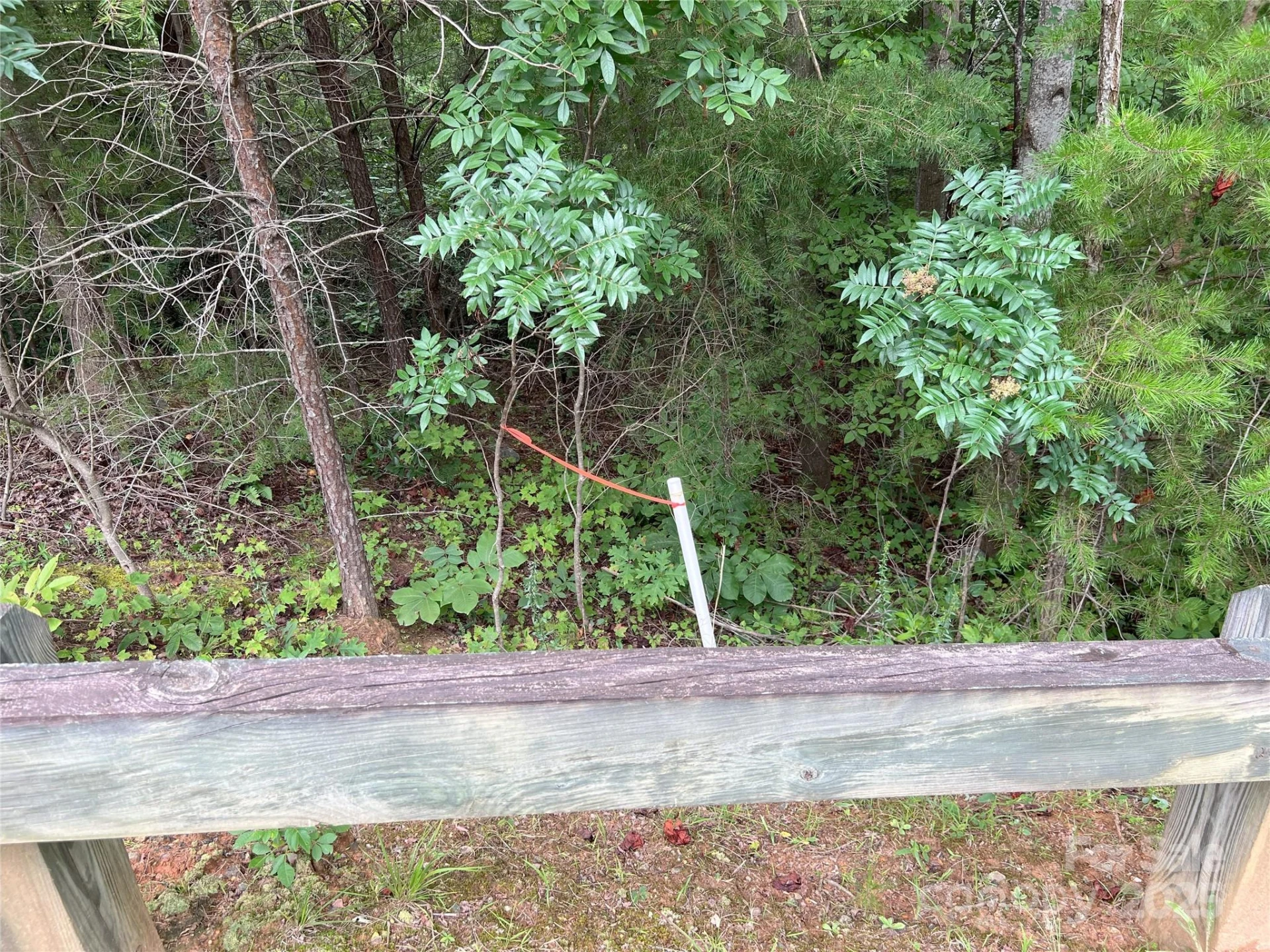 00 Deep Gap Road E #97 - Photo 4