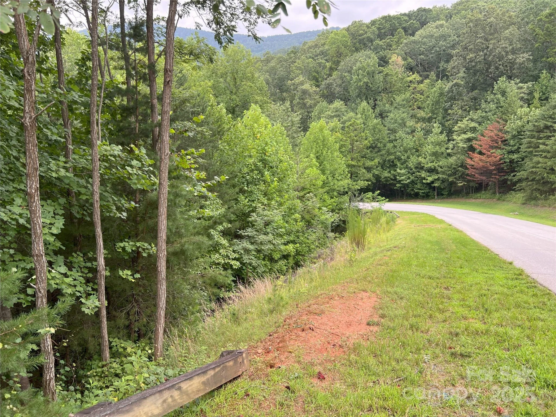 00 Deep Gap Road E #97 - Photo 5