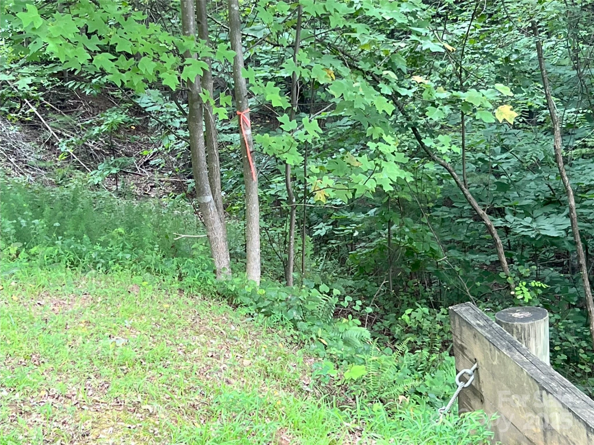 00 Deep Gap Road E #97 - Photo 6