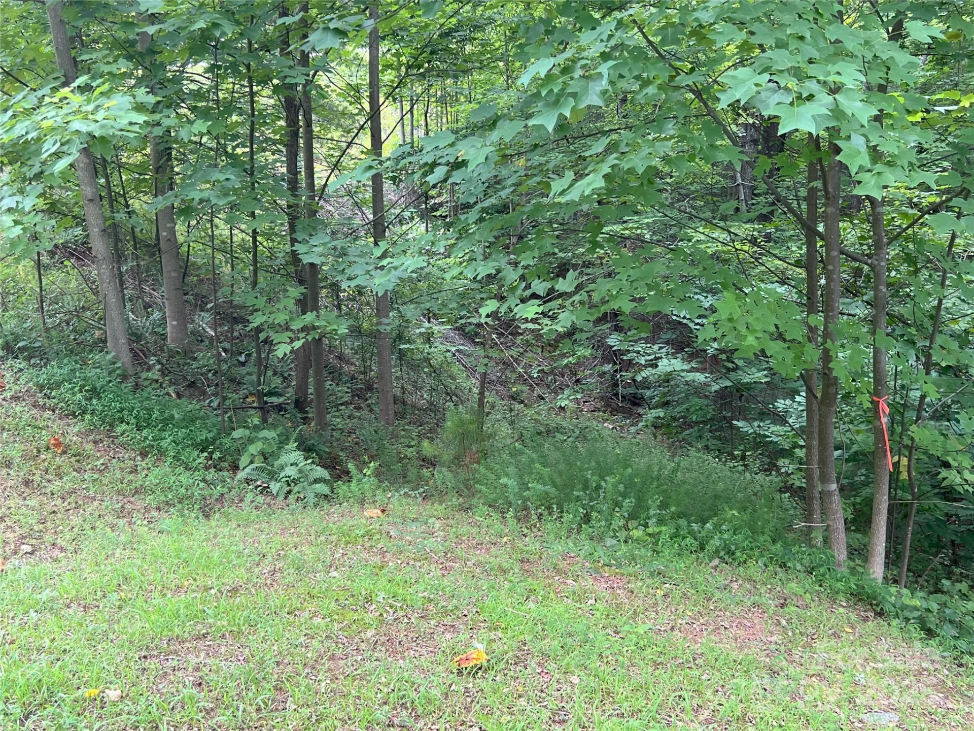 00 Deep Gap Road E #97 - Photo 7