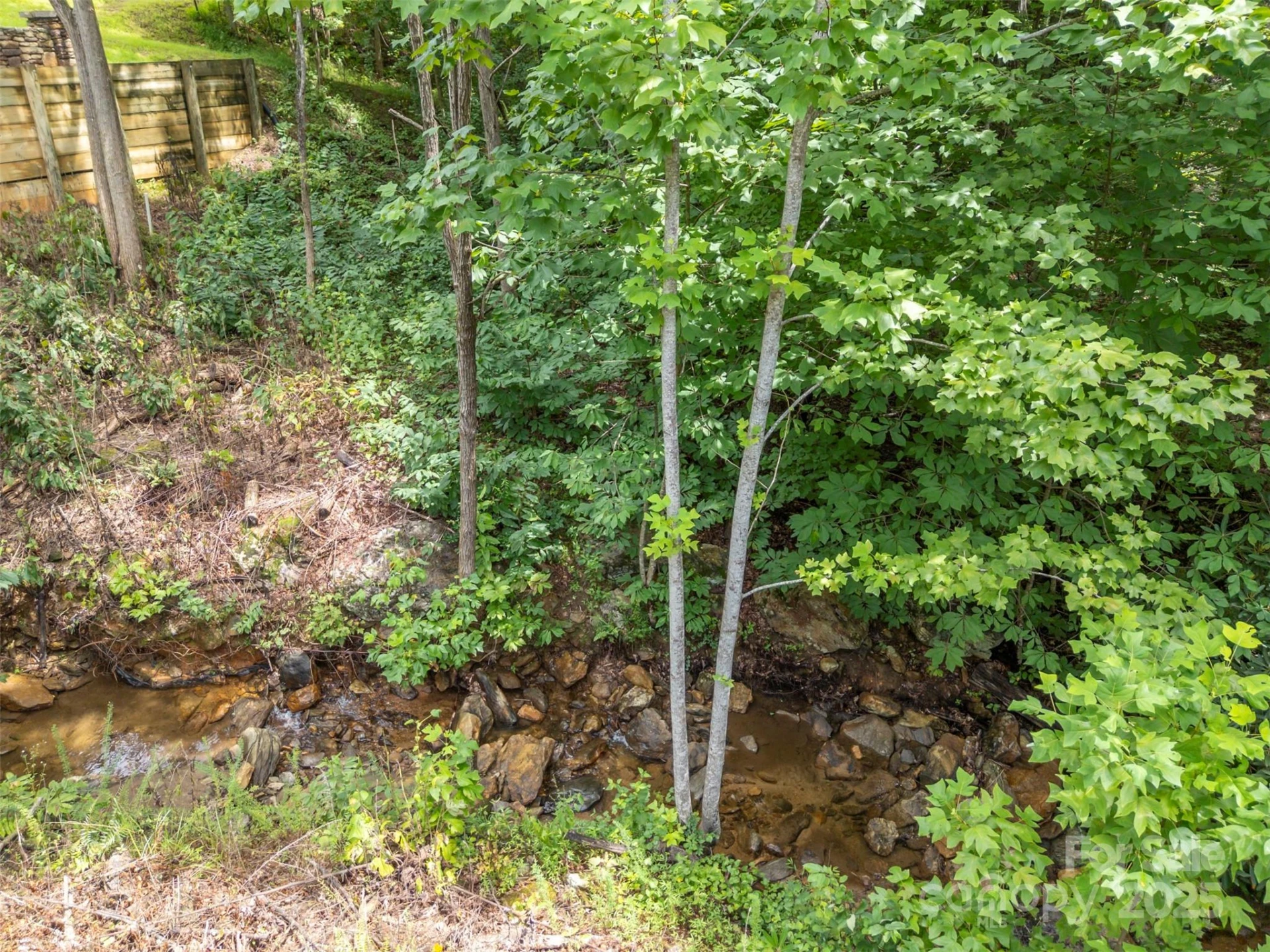00 Deep Gap Road E #97 - Photo 10