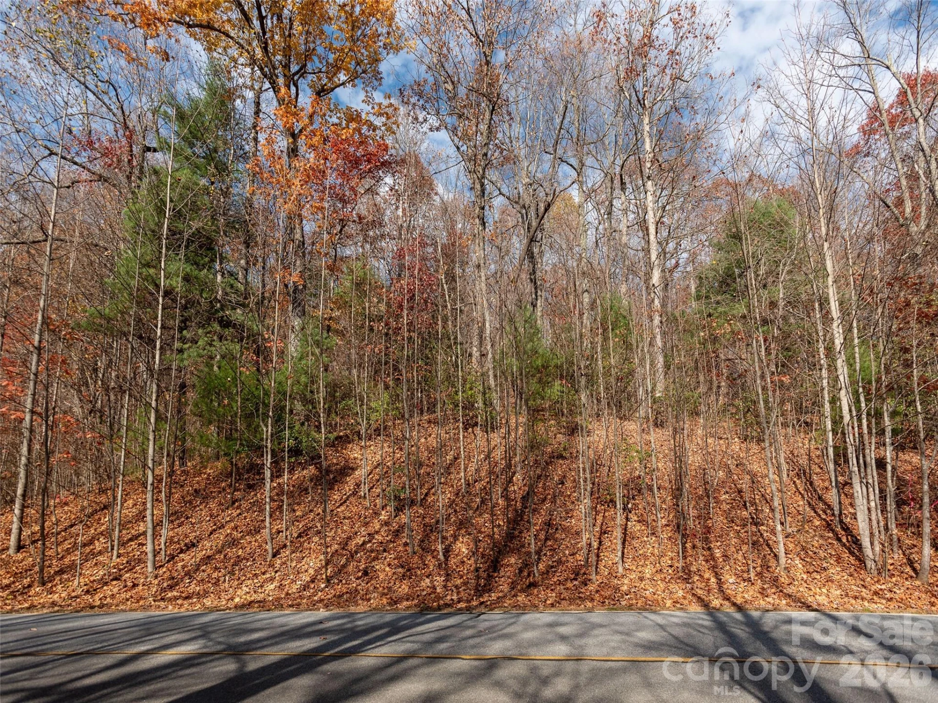 128 Pinnacle Peak Lane - Photo 5