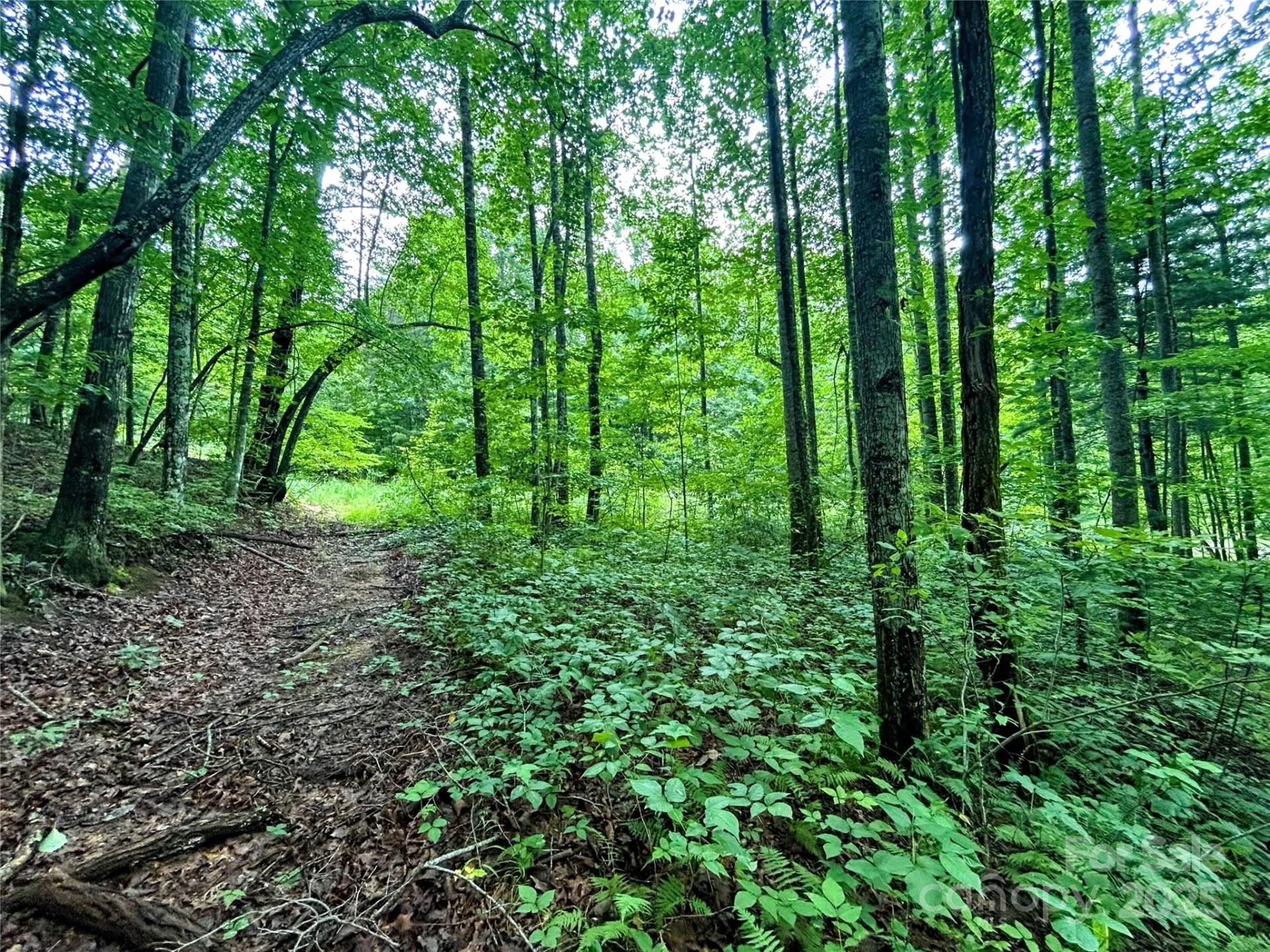 Lot 6 Azalea Way - Photo 4