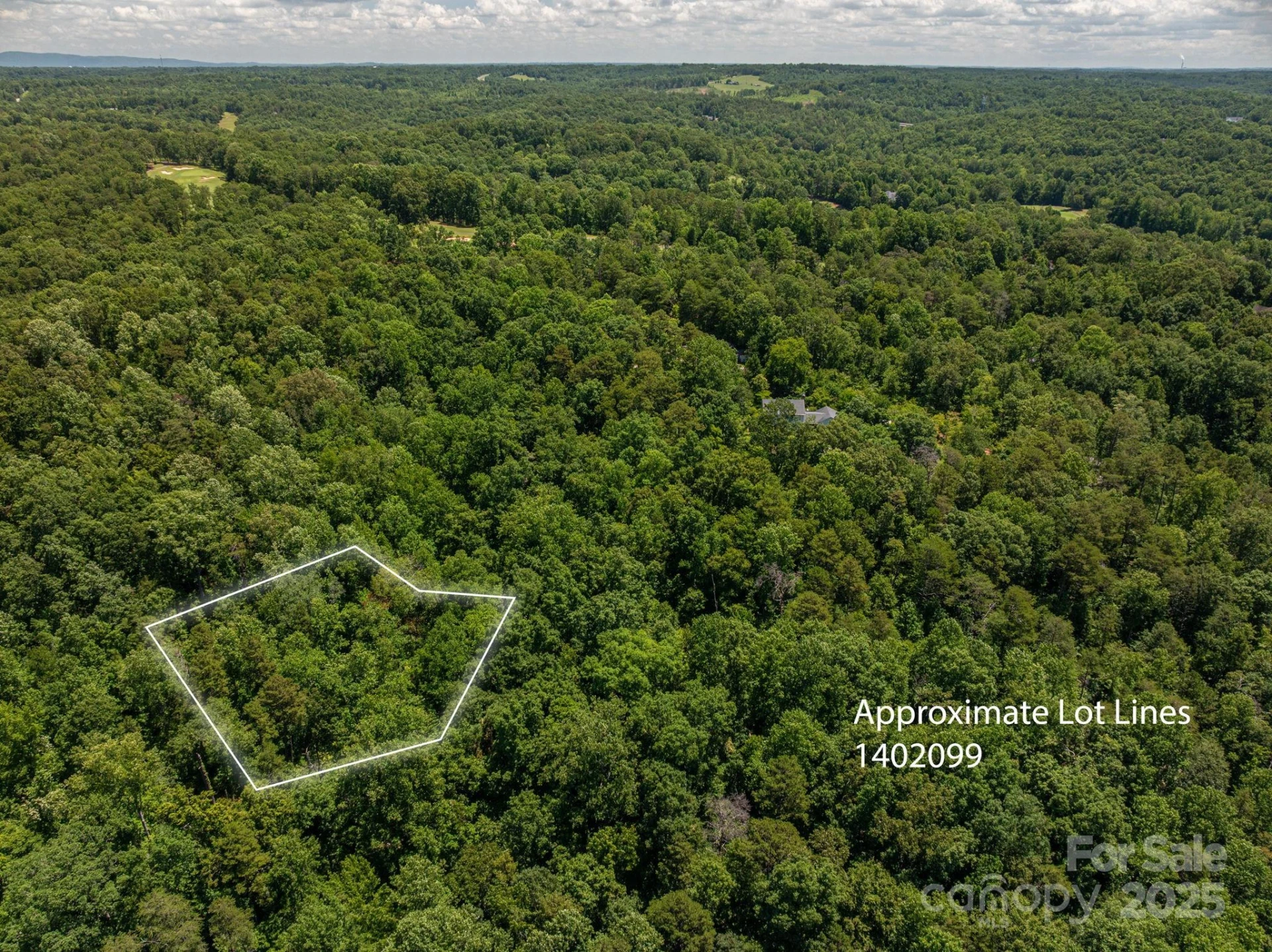 Lot 169 Coxe Road - Photo 3