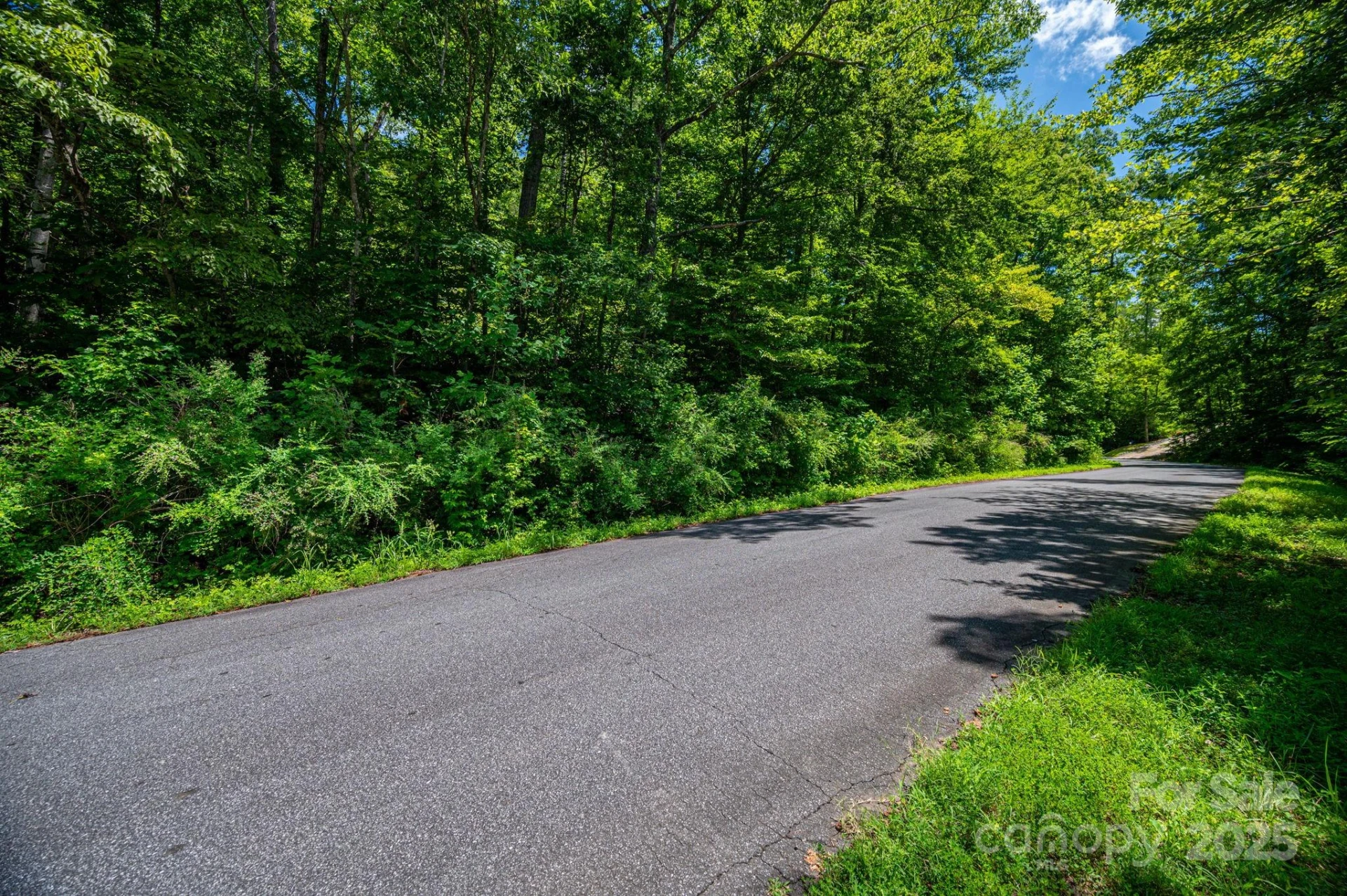 Lot 160 Coxe Road - Photo 2
