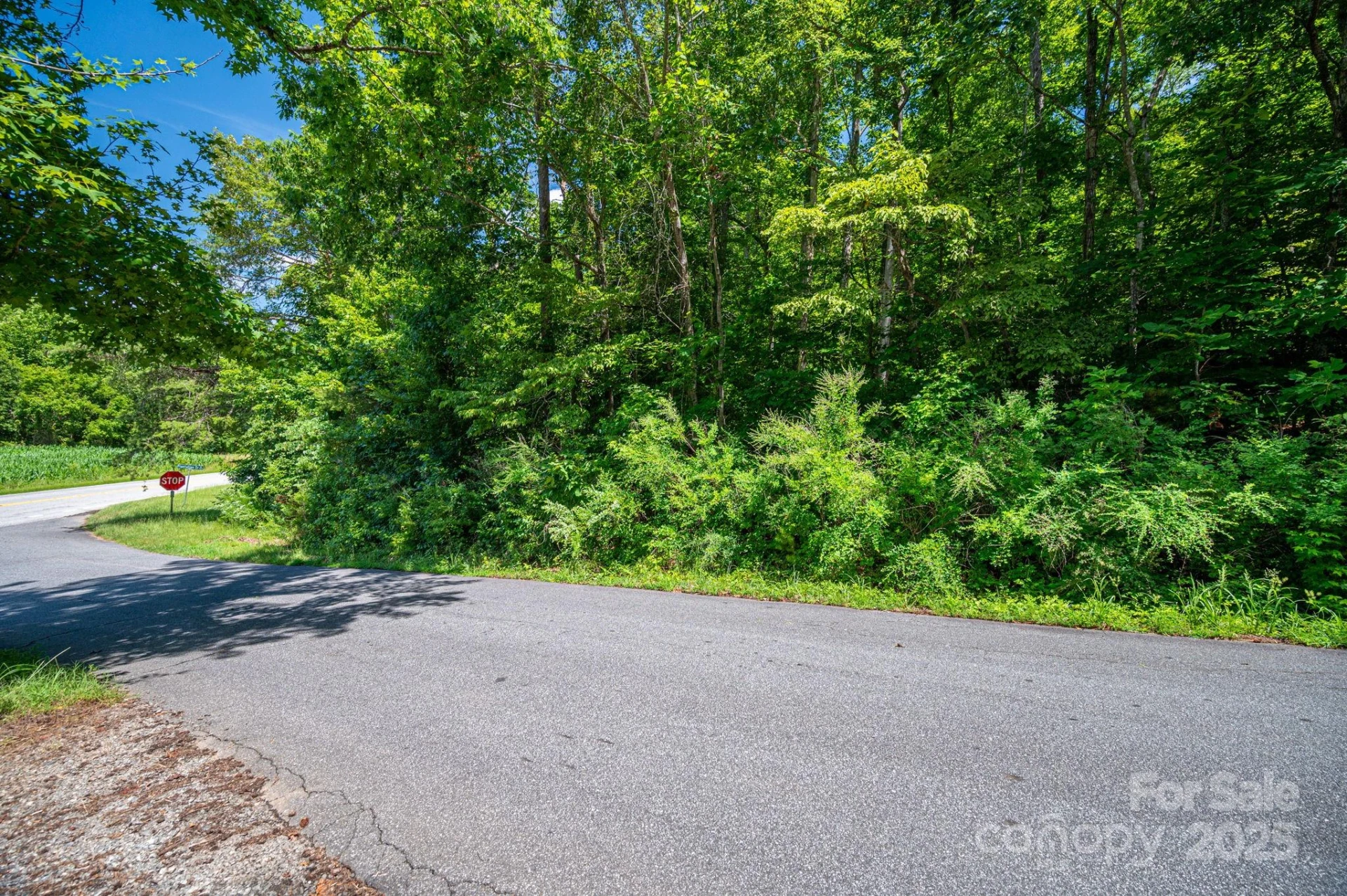 Lot 160 Coxe Road - Photo 5