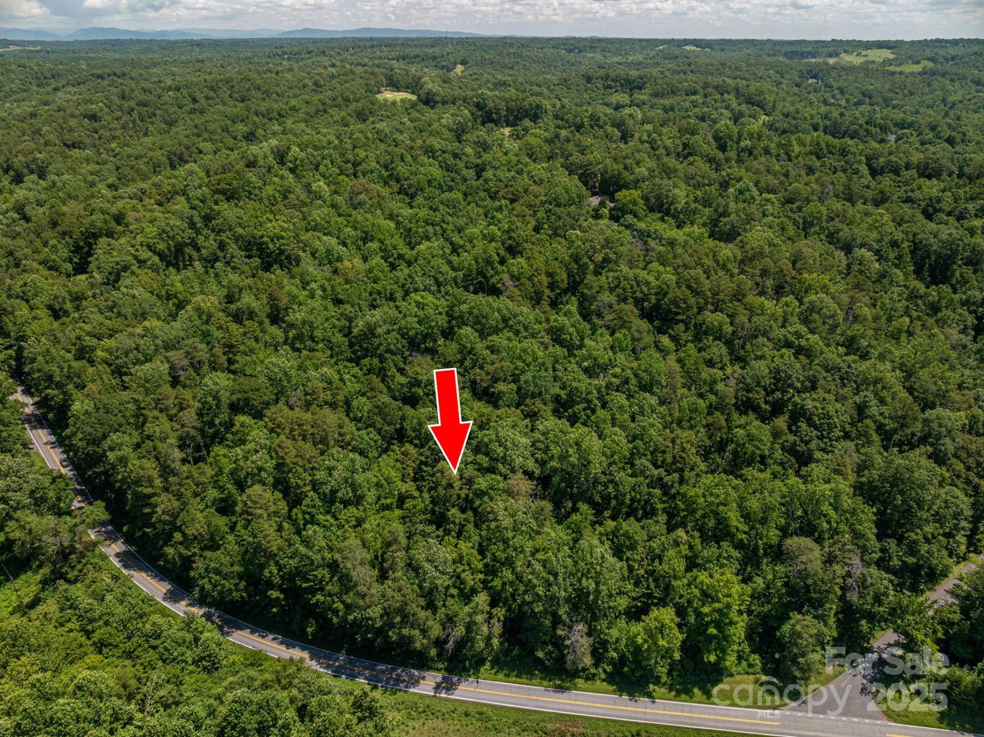 Lot 161 Coxe Road - Photo 8