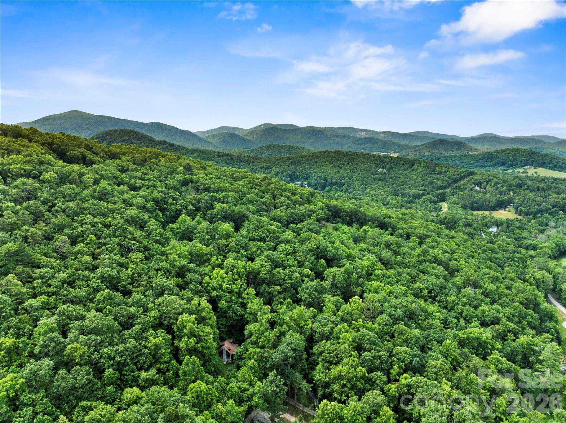 48 Buck Ridge Road - Photo 3