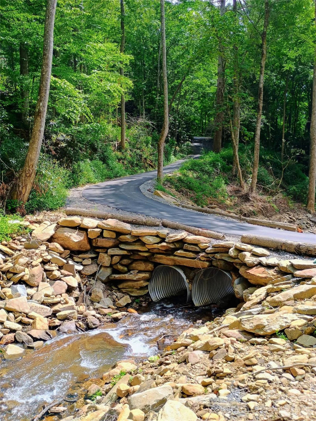 48 Buck Ridge Road - Photo 39