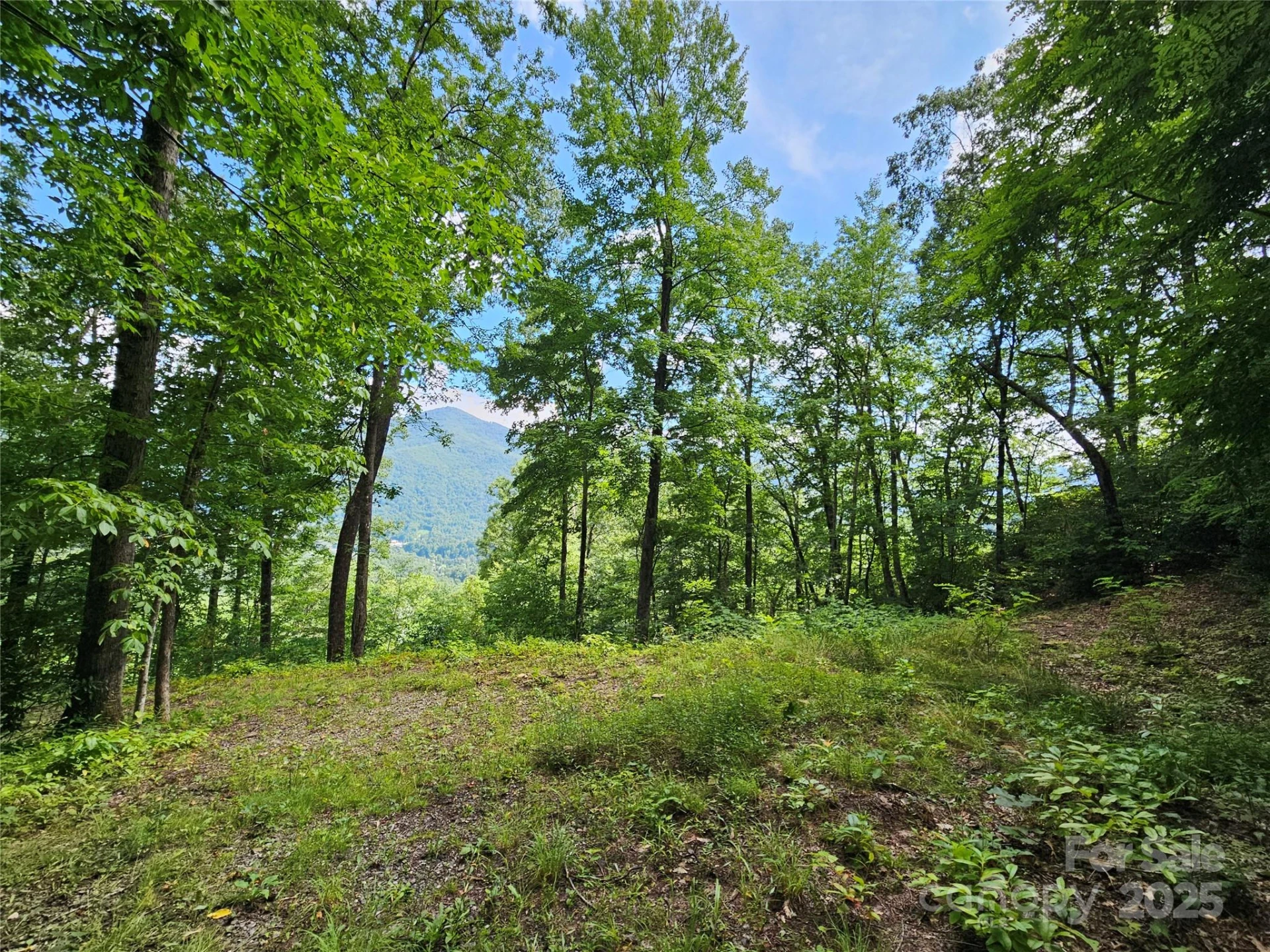 000 Big Boulder Ridge #9 - Photo 5