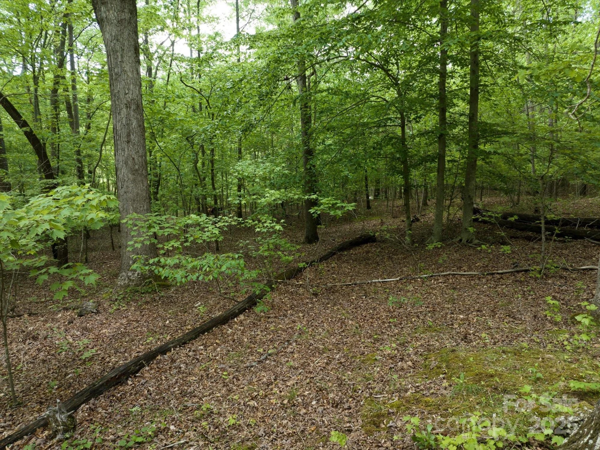 0 W Mills Street - Photo 31