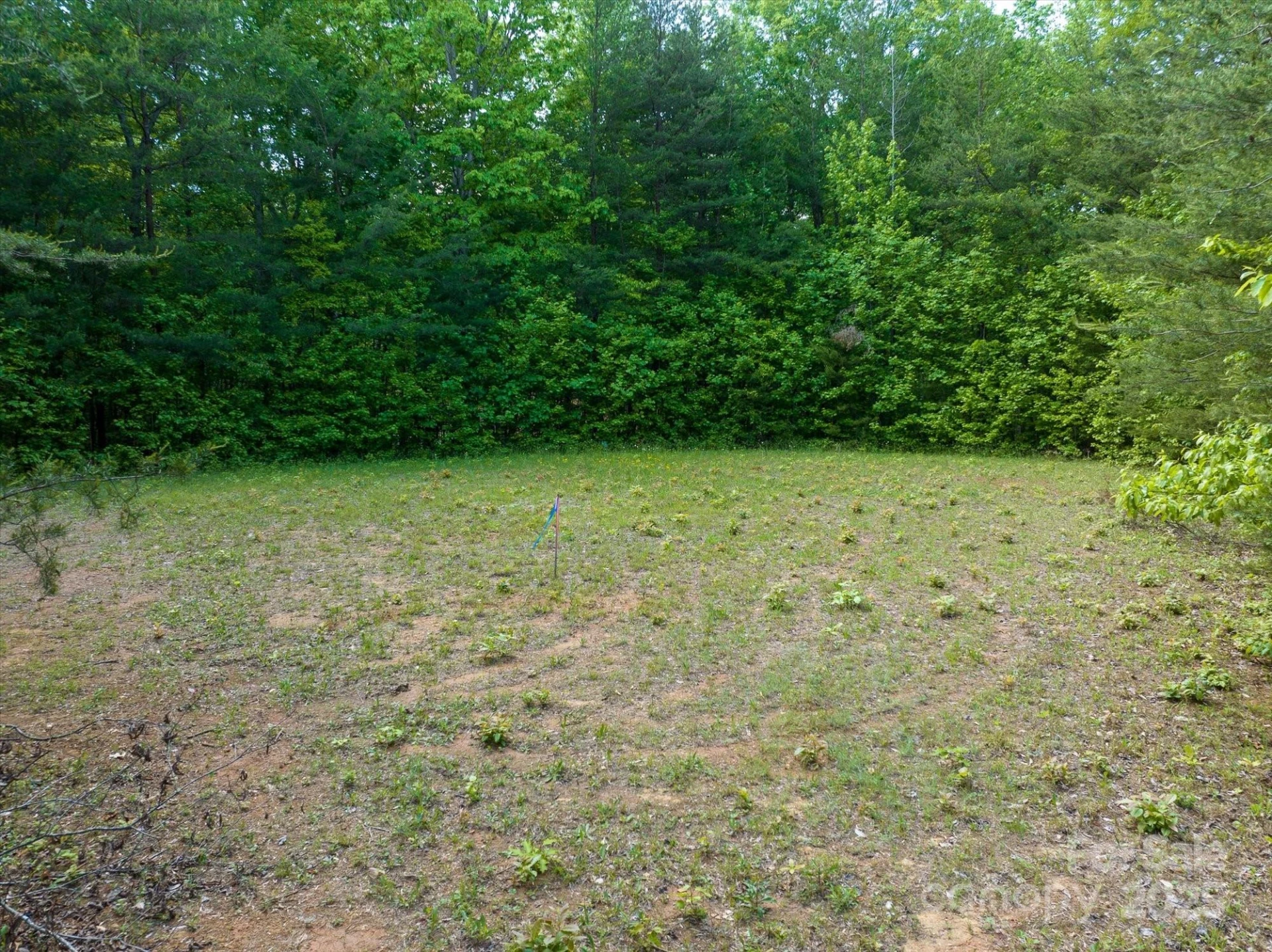 899 W Mills Street - Photo 14