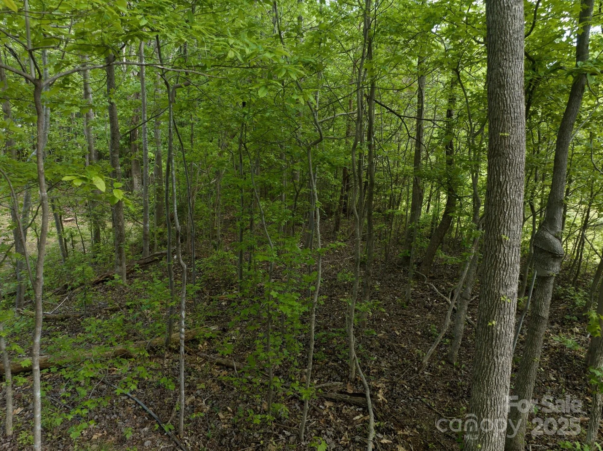 899 W Mills Street - Photo 17