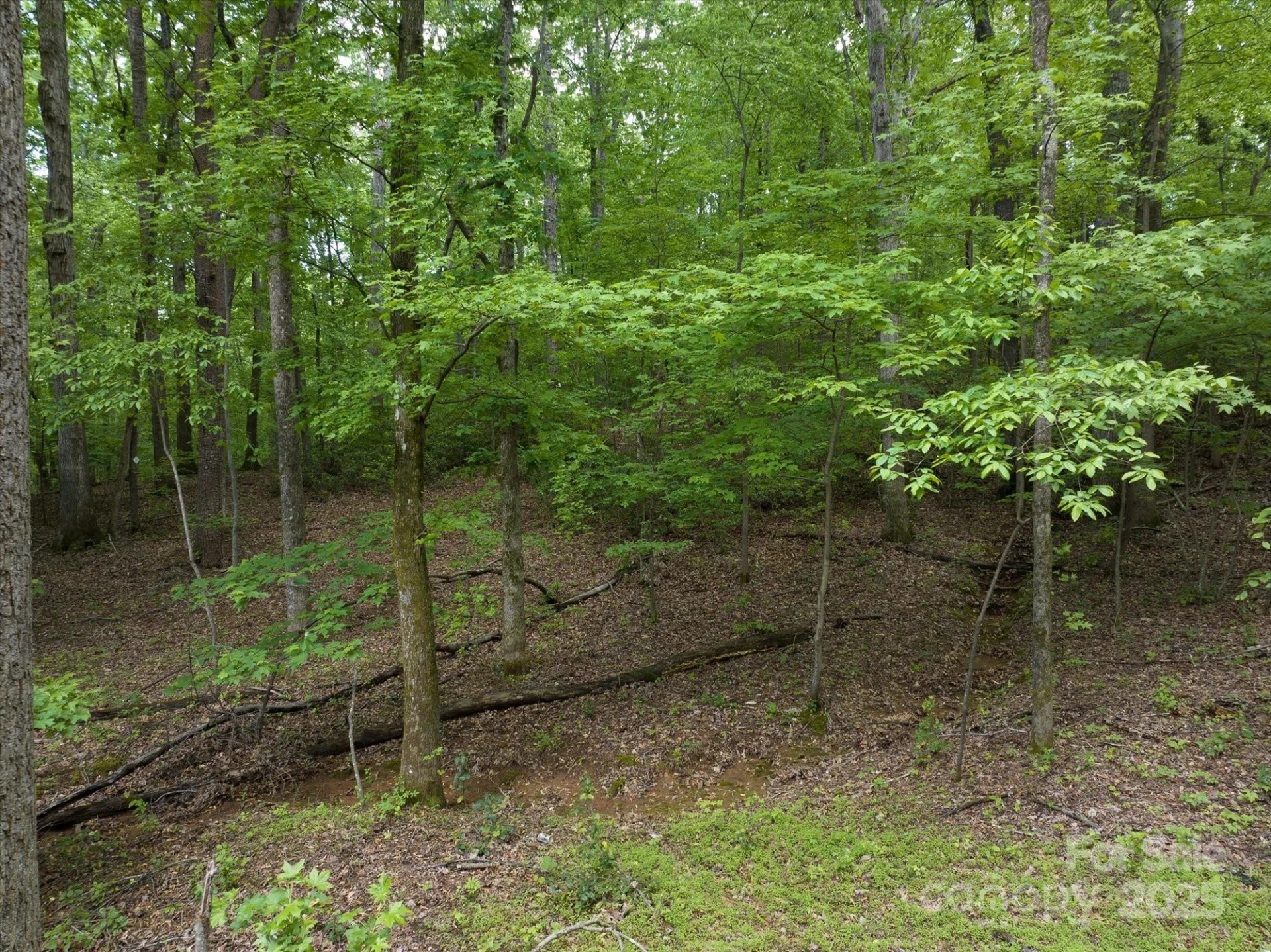 899 W Mills Street - Photo 19