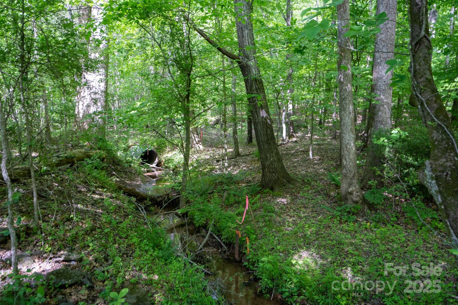899 W Mills Street - Photo 22