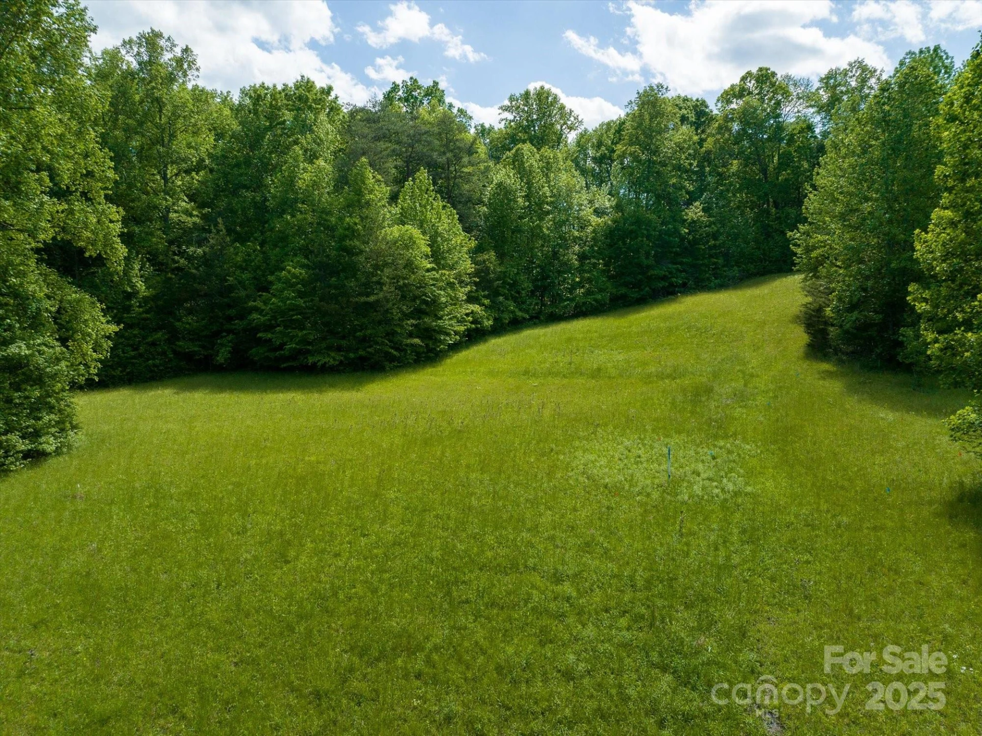 899 W Mills Street - Photo 10