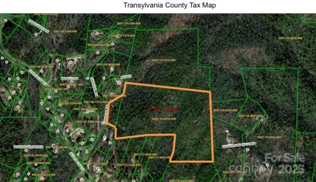 TBD Normcol Road, Pisgah Forest, NC, 28768