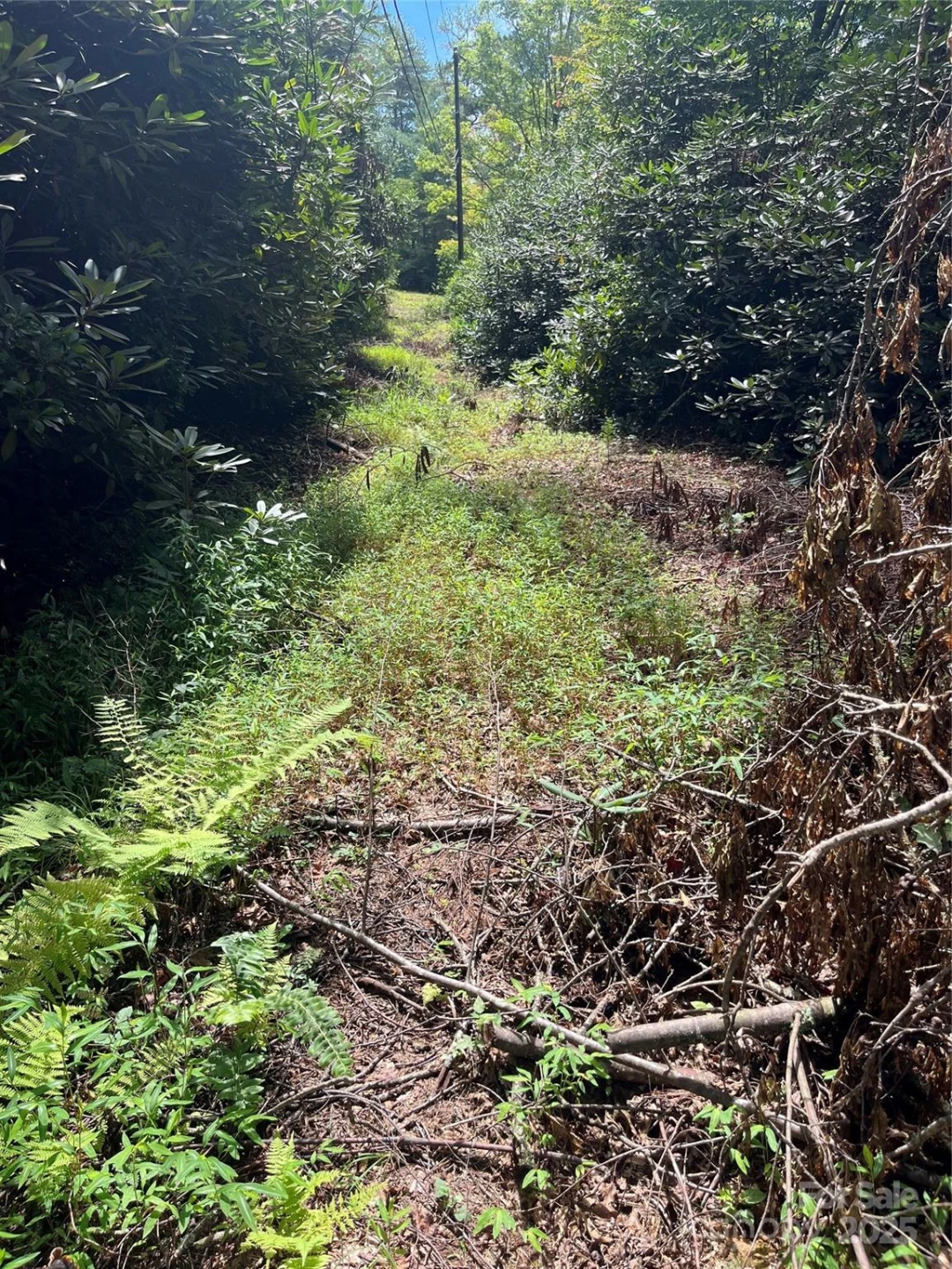 TBD Normcol Road - Photo 8