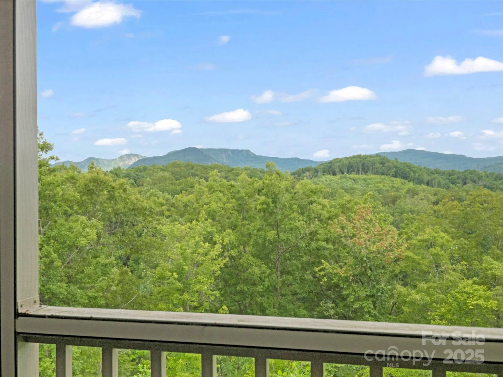 148 Red Hawk Knoll #12 - Photo 11