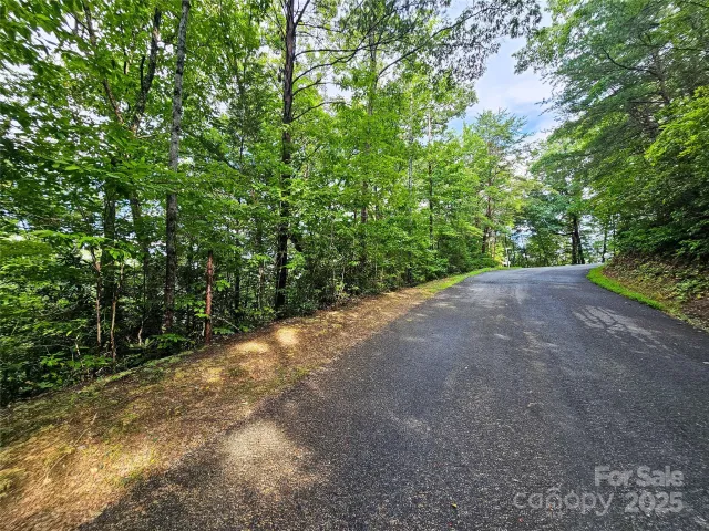 TBD Rumbling Bald Road, Lake Lure, NC, 28746