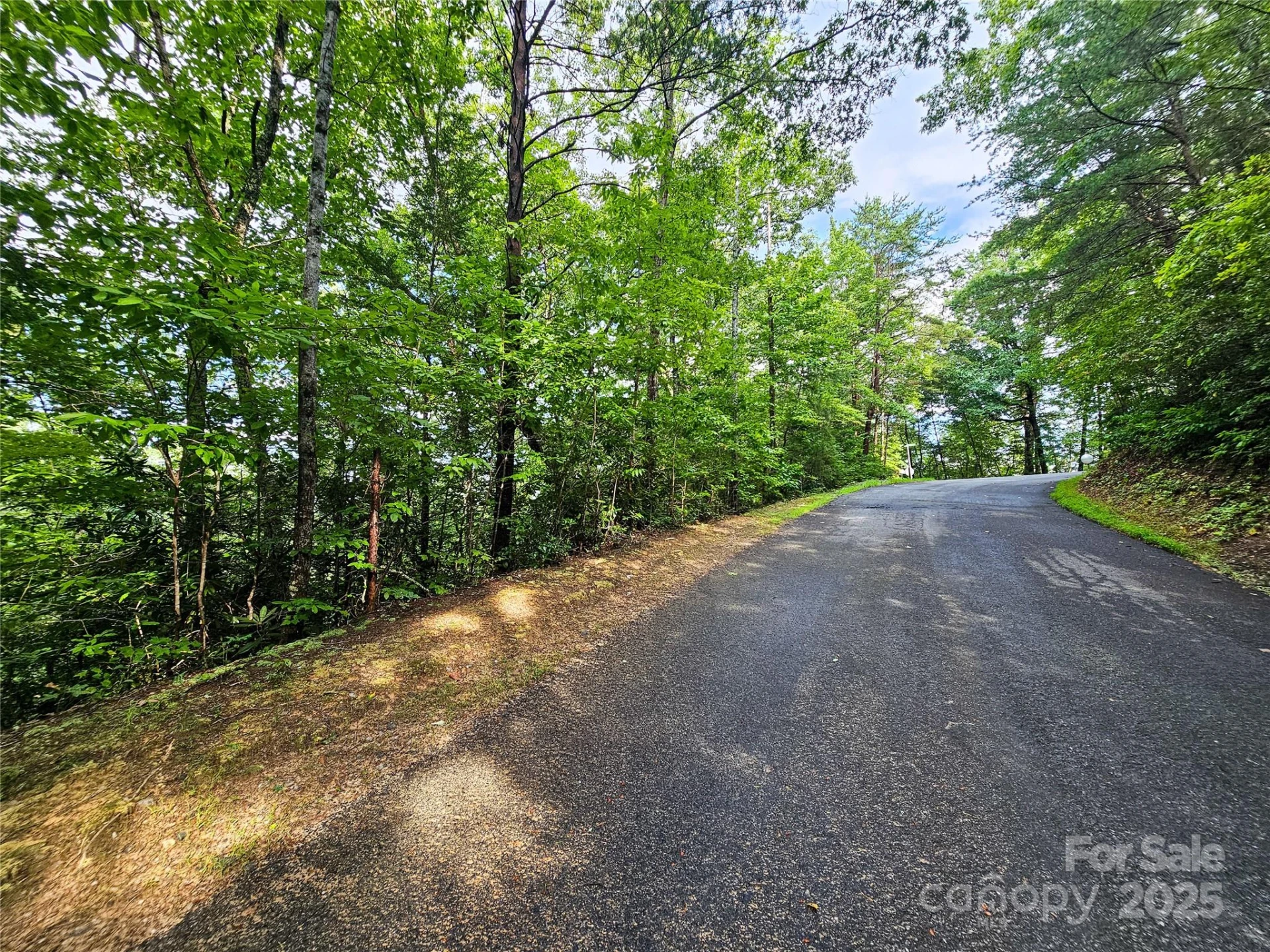 TBD Rumbling Bald Road #15