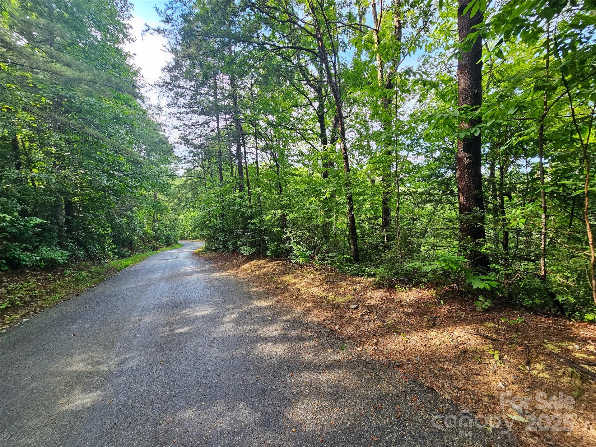 TBD Rumbling Bald Road #15 - Photo 12