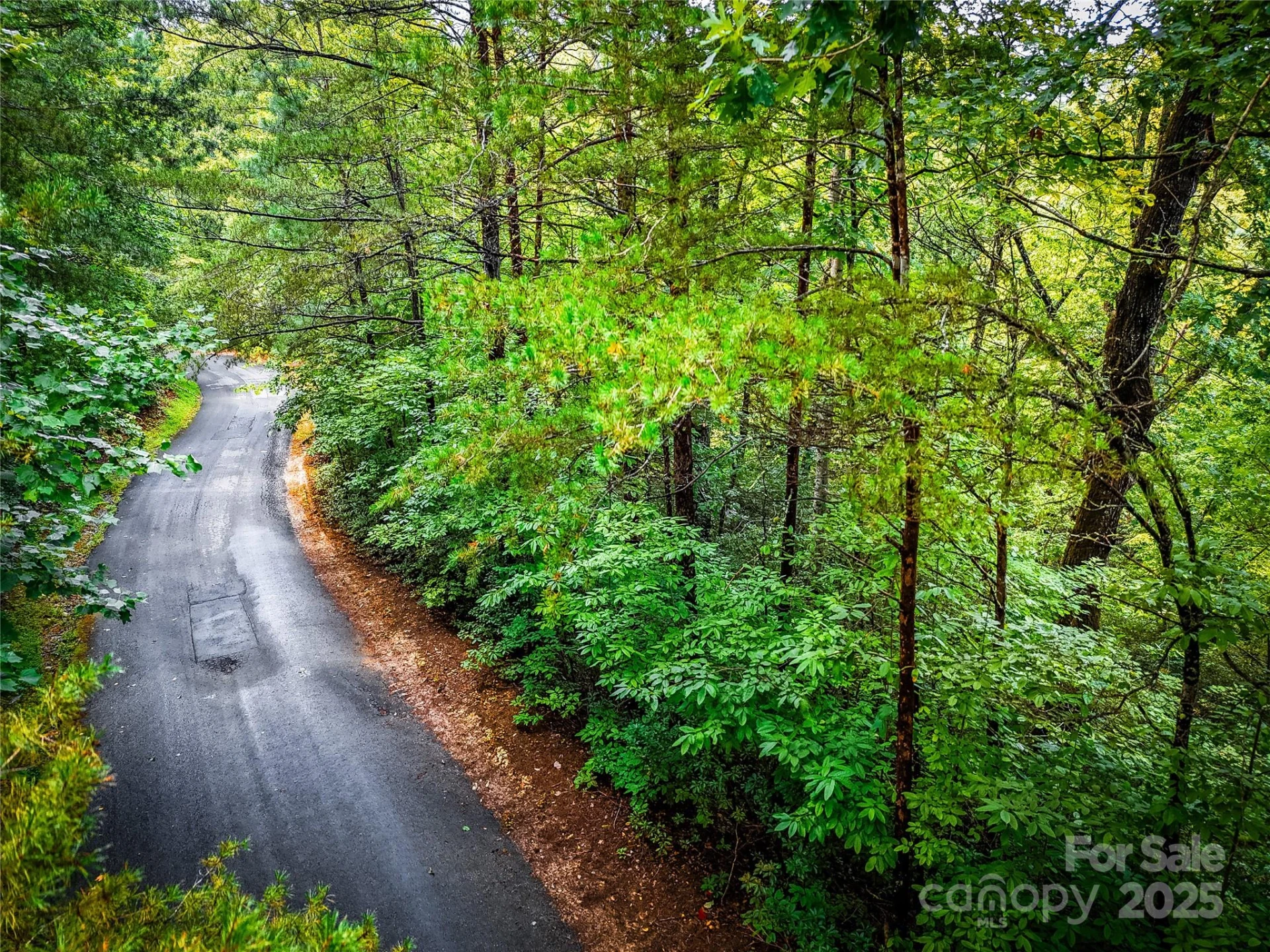 TBD Rumbling Bald Road #15 - Photo 19