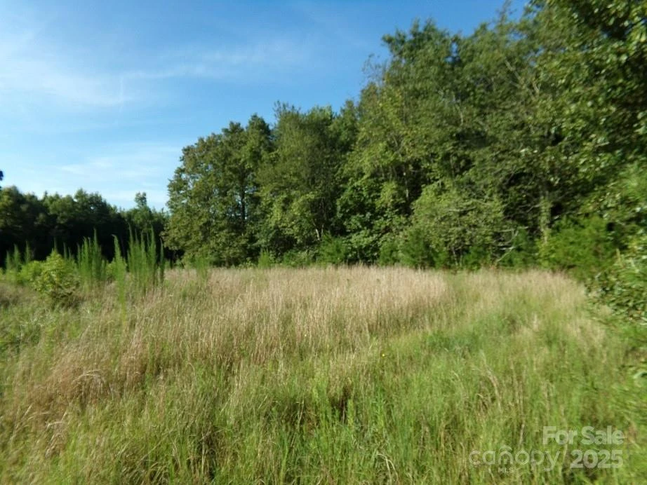 Lot 5 Painter Road - Photo 3