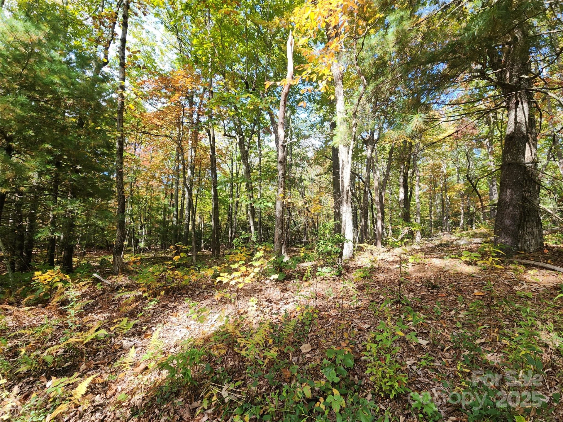 999999 N Pointe Drive #1 - Photo 4