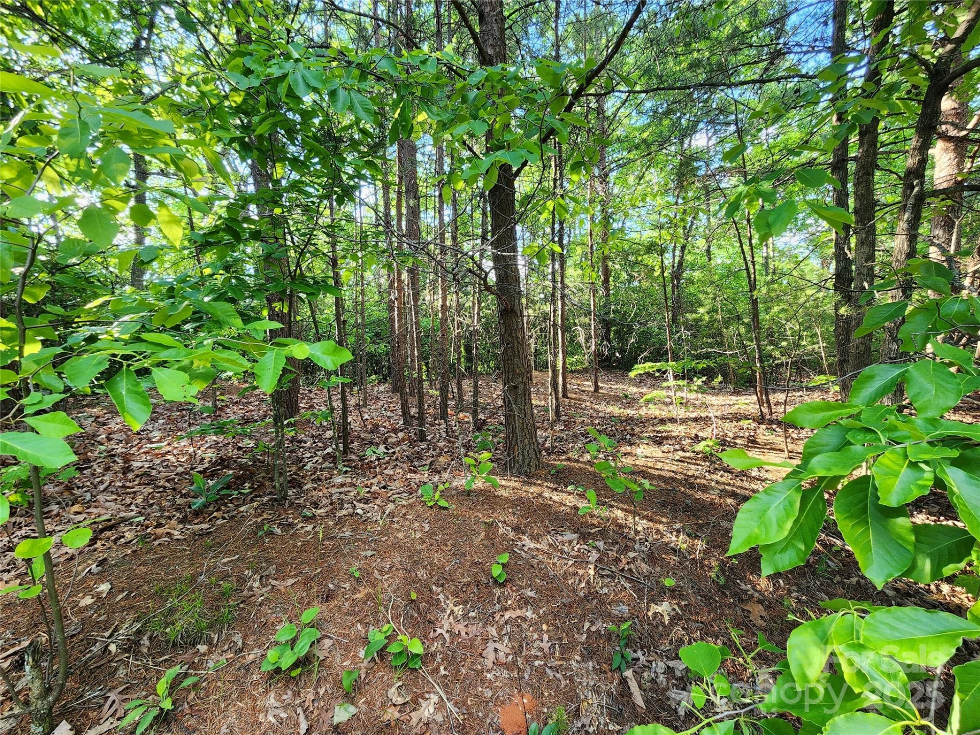 30 Mountain Lookout Drive - Photo 25