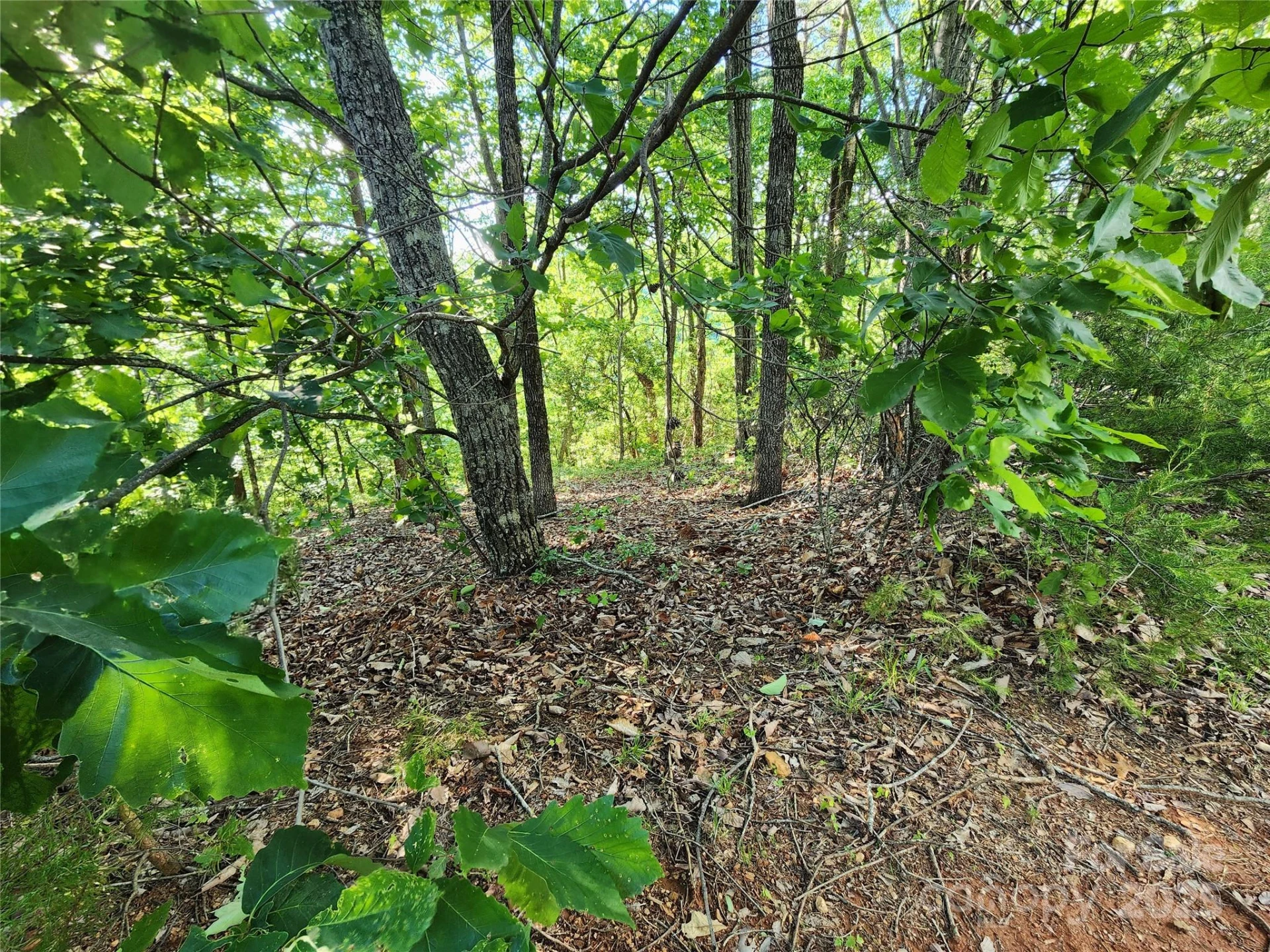 30 Mountain Lookout Drive - Photo 28