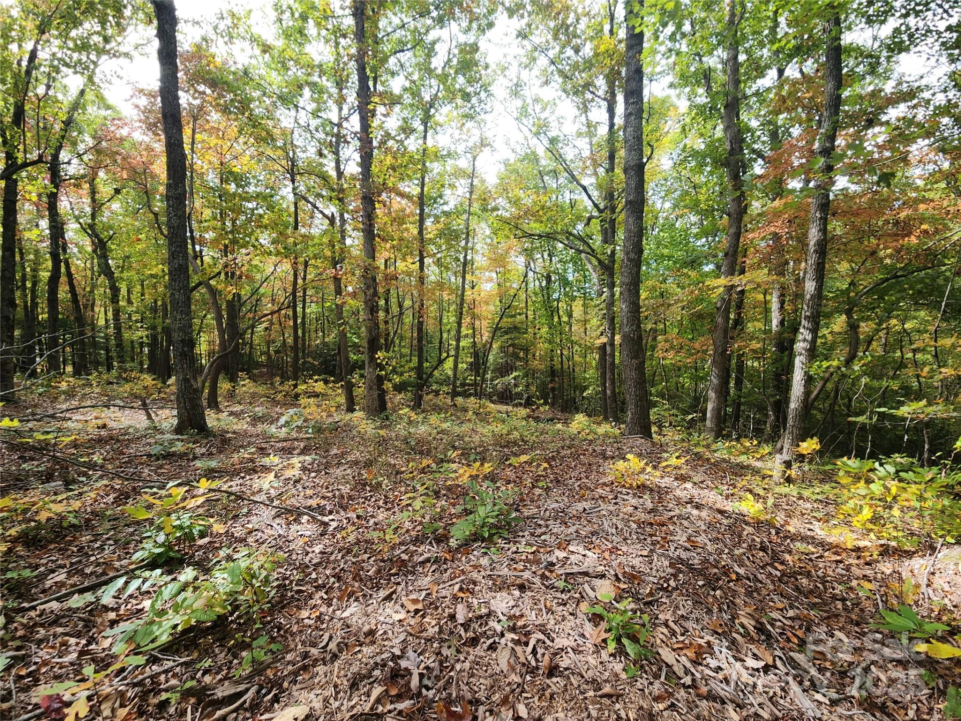 99999 N Pointe Drive #2 - Photo 2