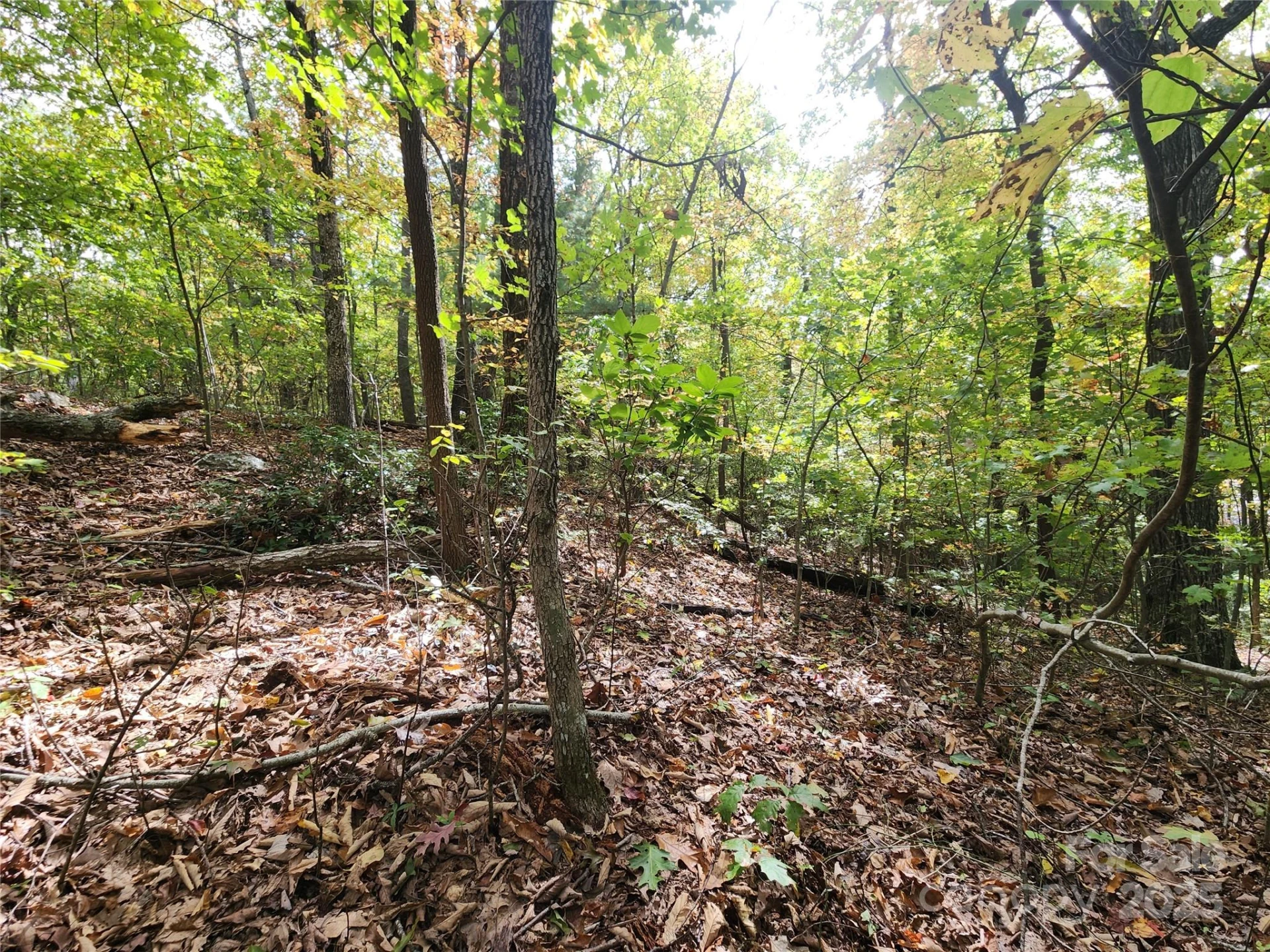 99999 N Pointe Drive #3 - Photo 2