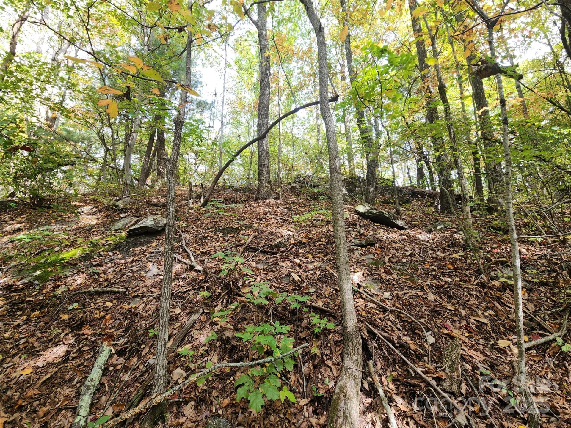 99999 N Pointe Drive #3 - Photo 3